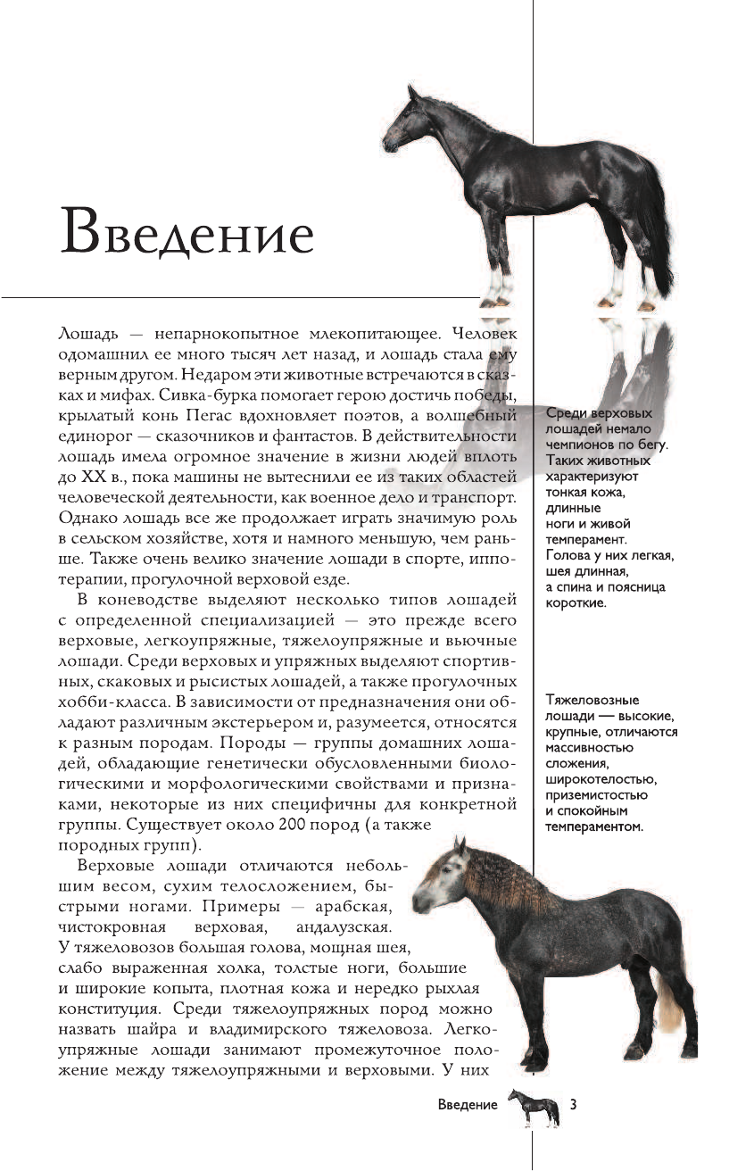  Лошади. Иллюстрированный гид - страница 2