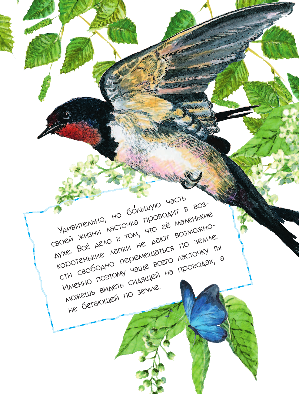 Танасийчук Виталий Николаевич Сколько глаз у стрекозы? - страница 4