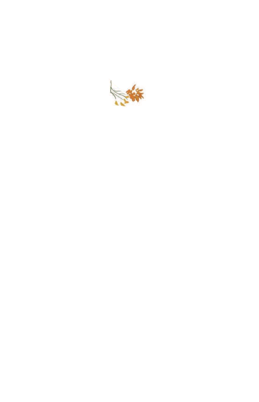 Михалков Сергей Владимирович Любимые стихи и песни о Родине - страница 2