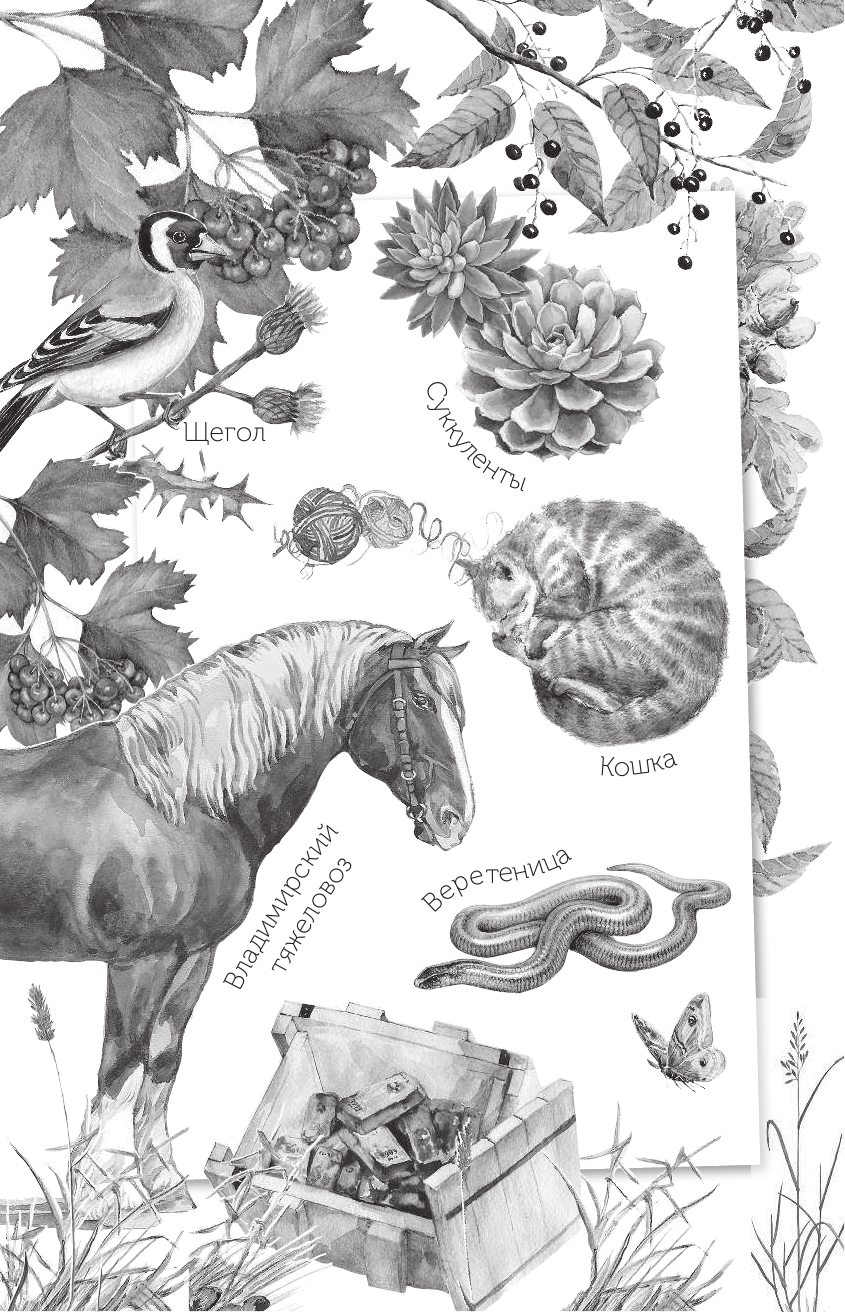 Бажов Павел Петрович Серебряное копытце - страница 3