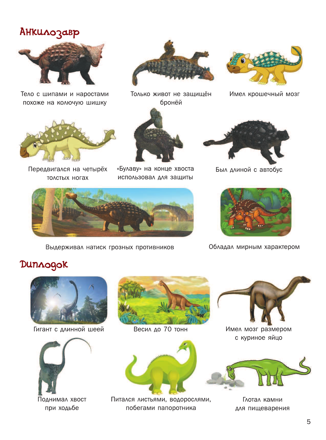  3000 картинок. Динозавры и Животные, которые можно рассматривать целый год - страница 4