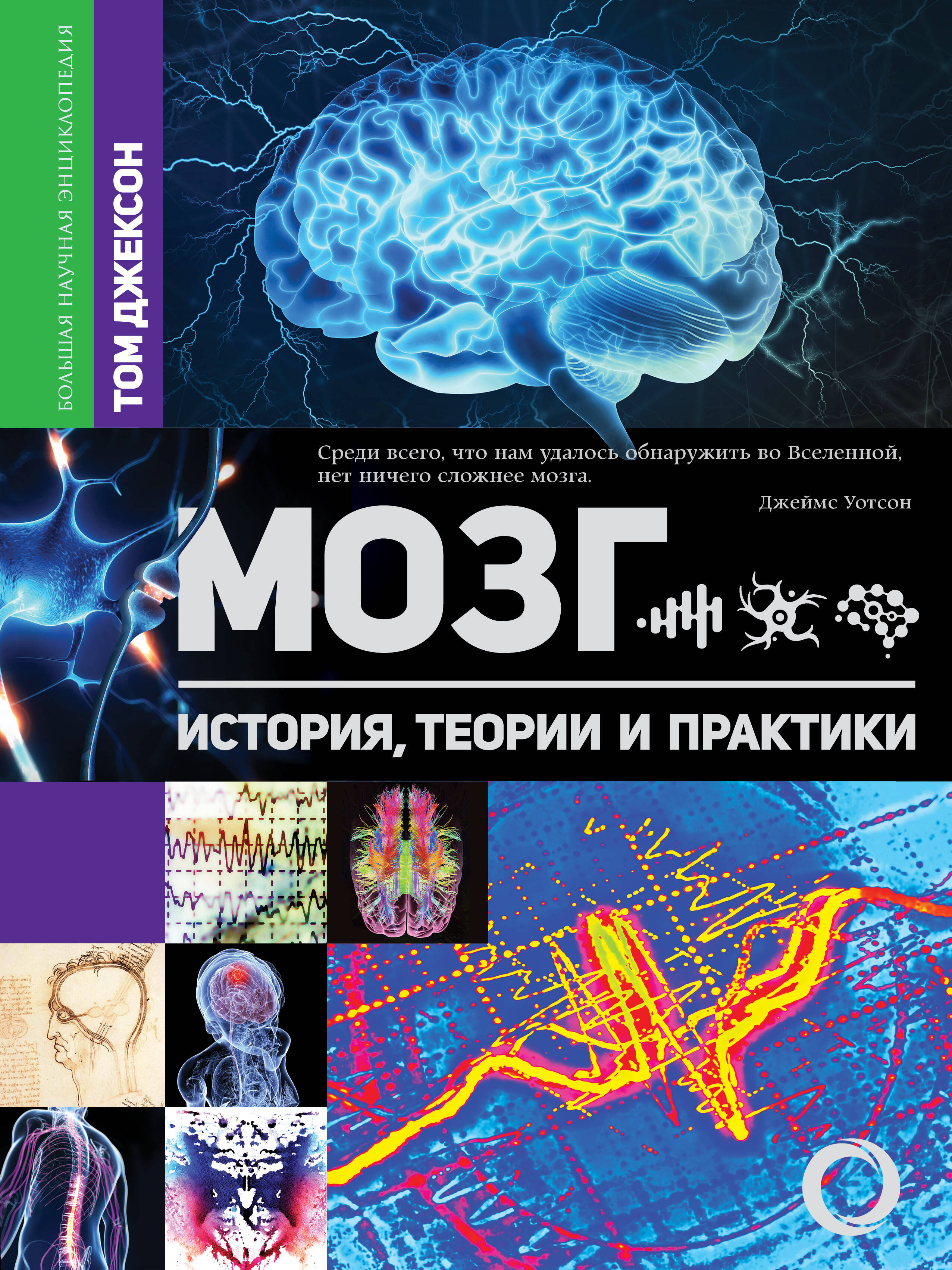 Джексон Том Мозг. История, теории и практики - страница 0
