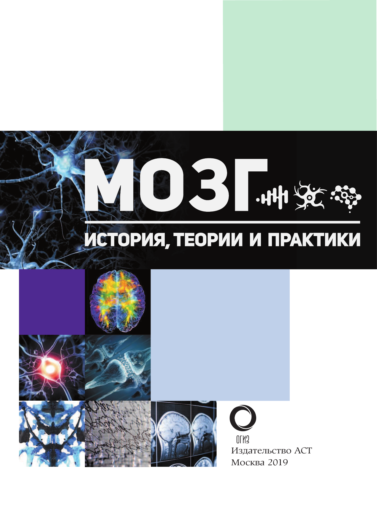 Джексон Том Мозг. История, теории и практики - страница 2