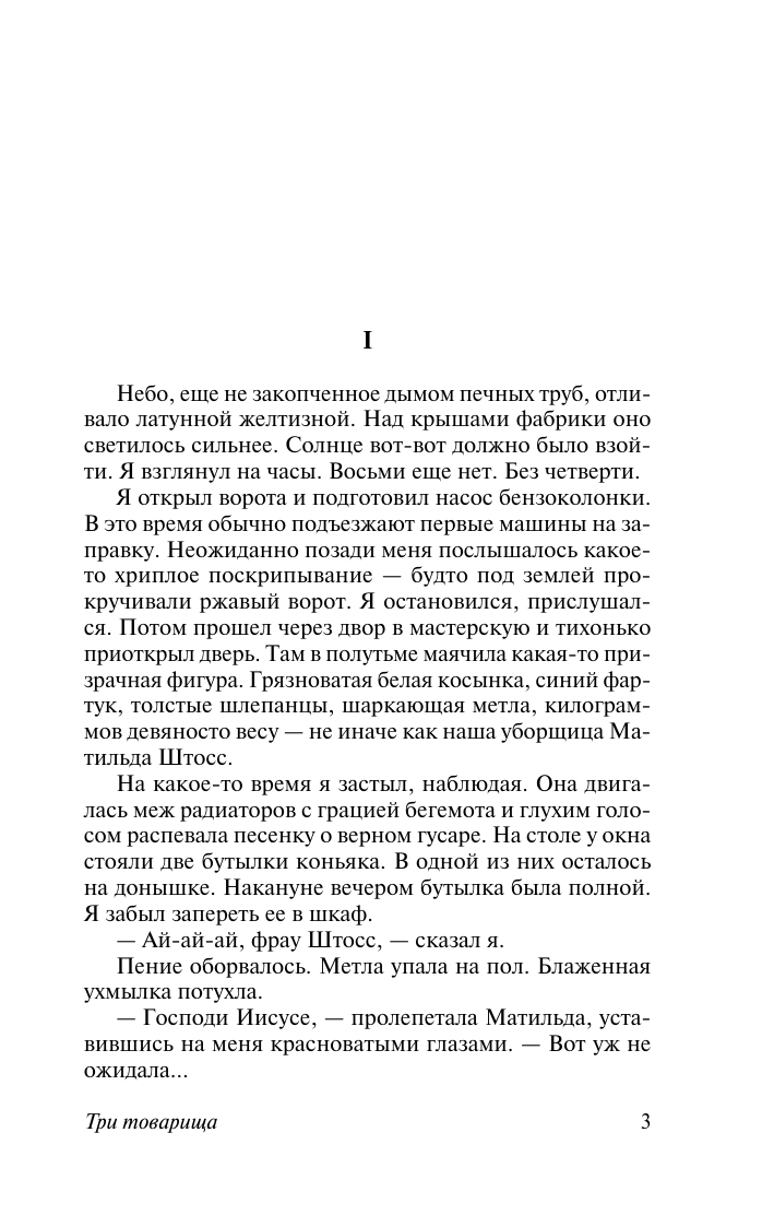 Ремарк Эрих Мария Три товарища - страница 4