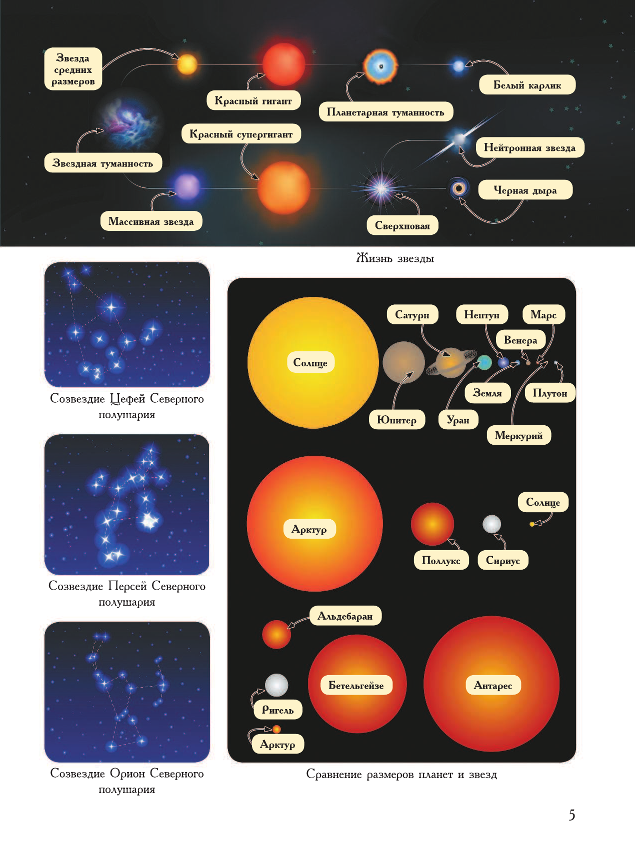 Спектор Анна Артуровна Детская энциклопедия в 2000 иллюстраций, которые можно рассматривать целый год - страница 4