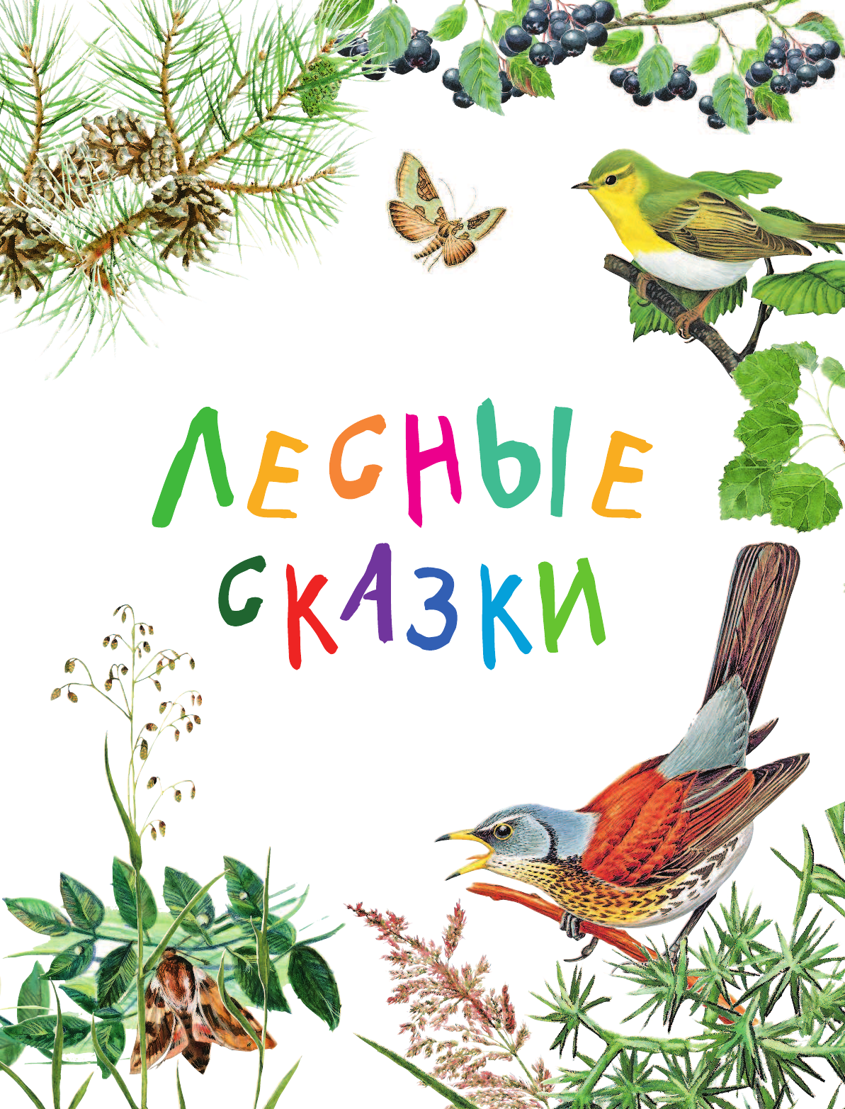 Сладков Николай Иванович, Сахарнов Святослав Владимирович, Житков Борис Степанович Рассказы и сказки о животных - страница 4