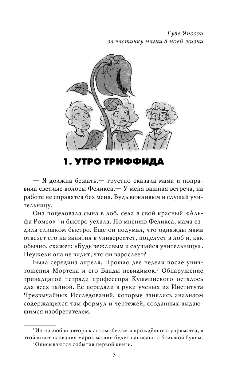 Косик Рафал Феликс, Нэт, Ника и теоретически возможная катастрофа - страница 4