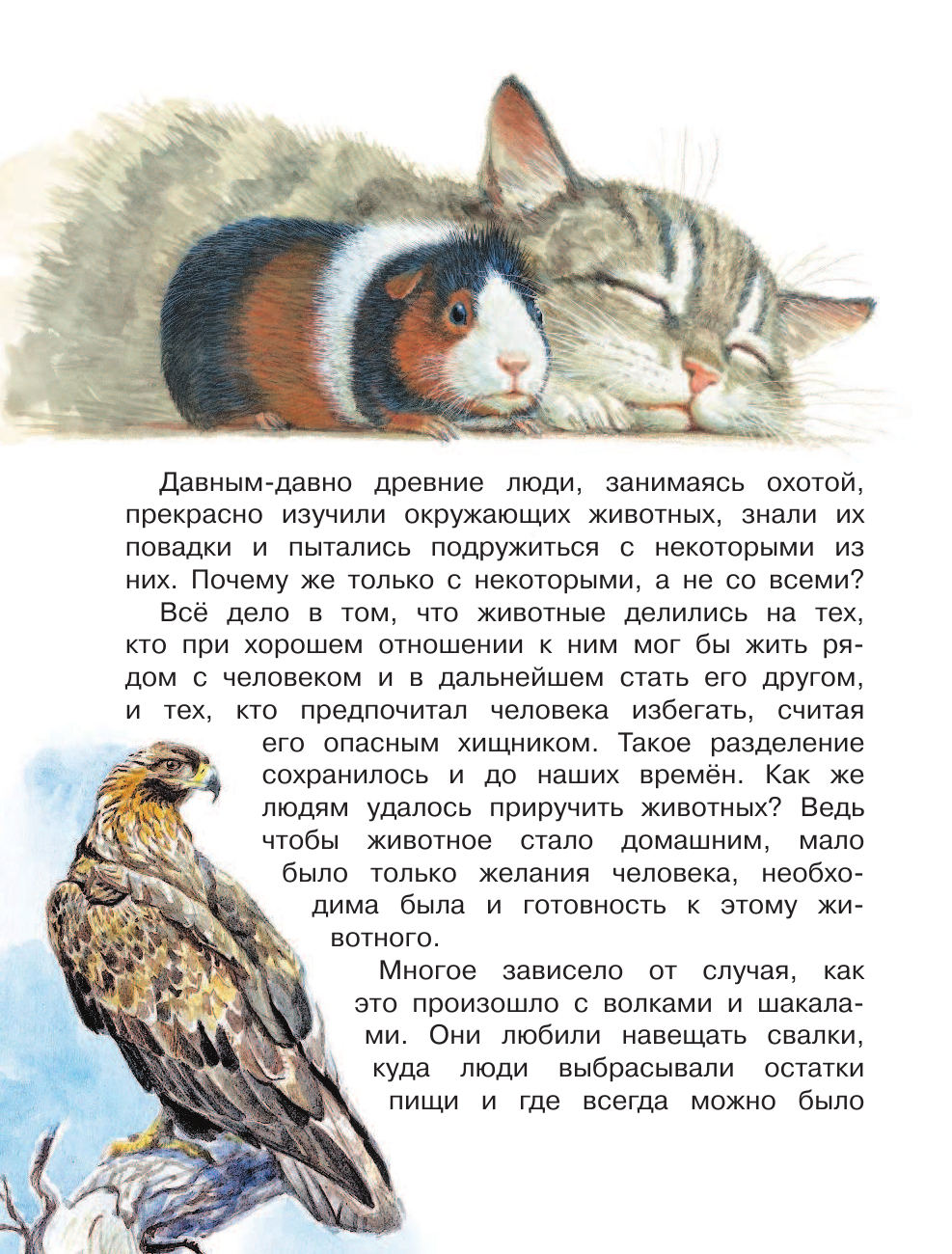 Тамбиев Александр Хапачиевич Домашние животные - страница 3