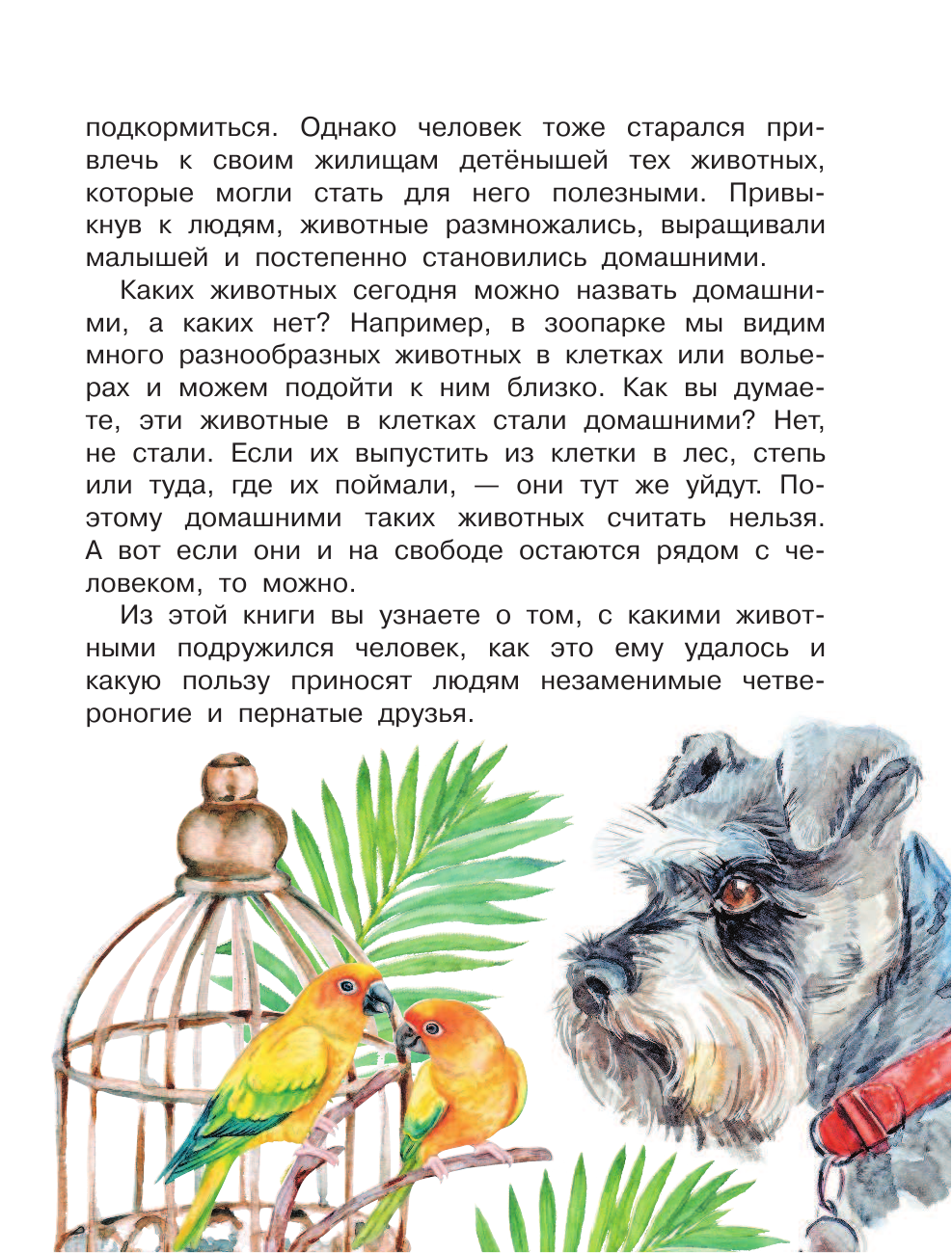 Тамбиев Александр Хапачиевич Домашние животные - страница 4