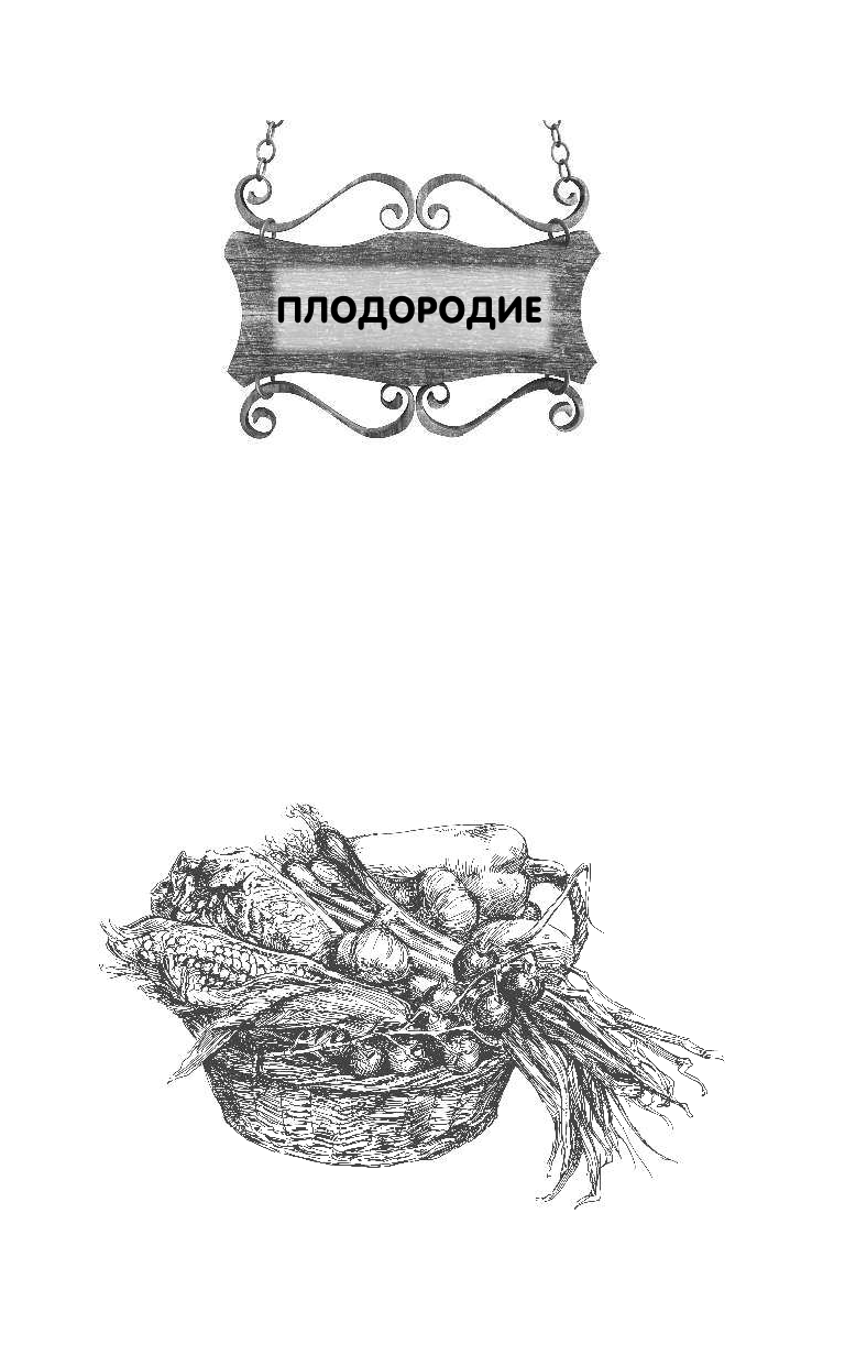 Кизима Галина Александровна Огород. Ответы на главные вопросы - страница 4