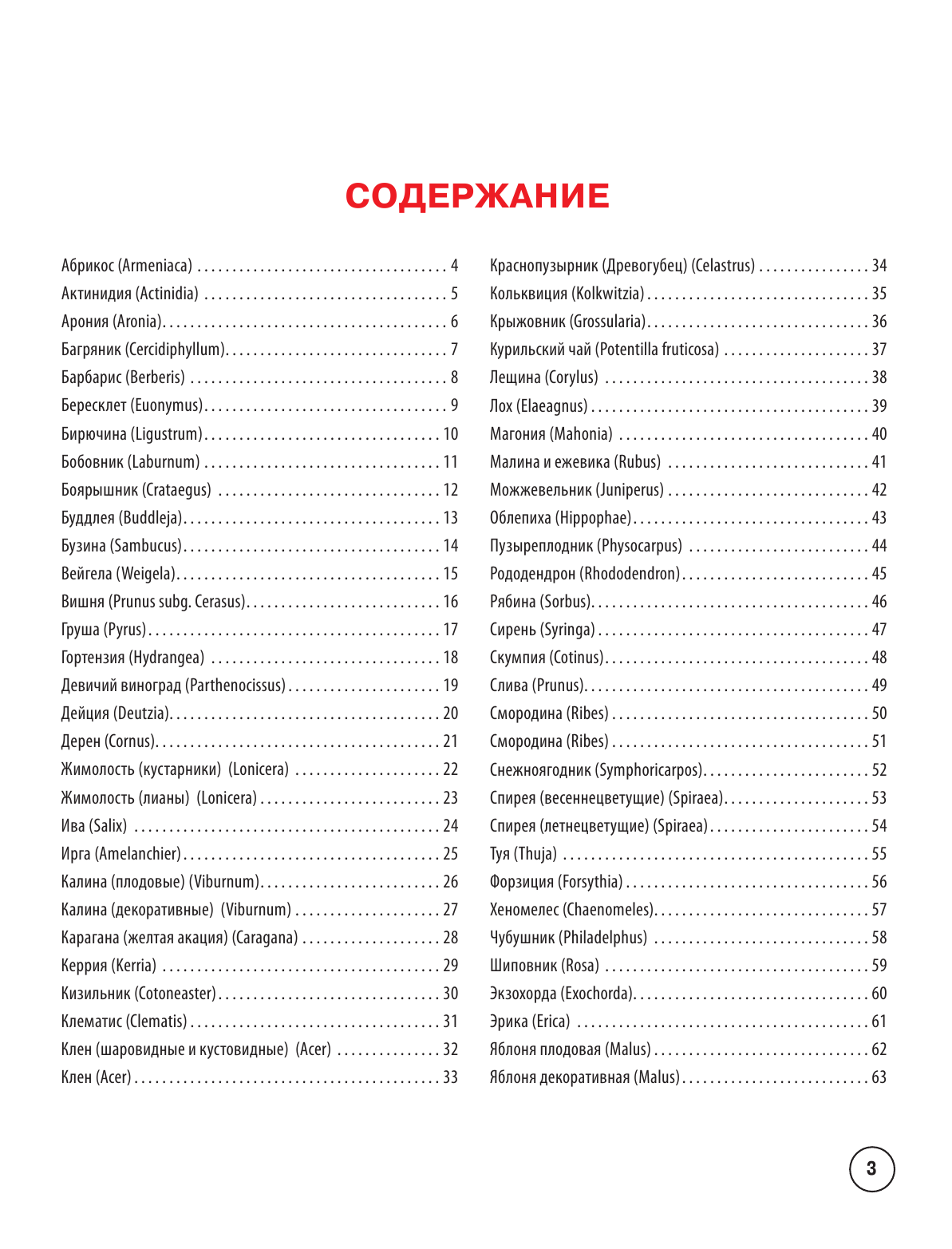 Окунева Ирина Борисовна Все о саде - страница 4
