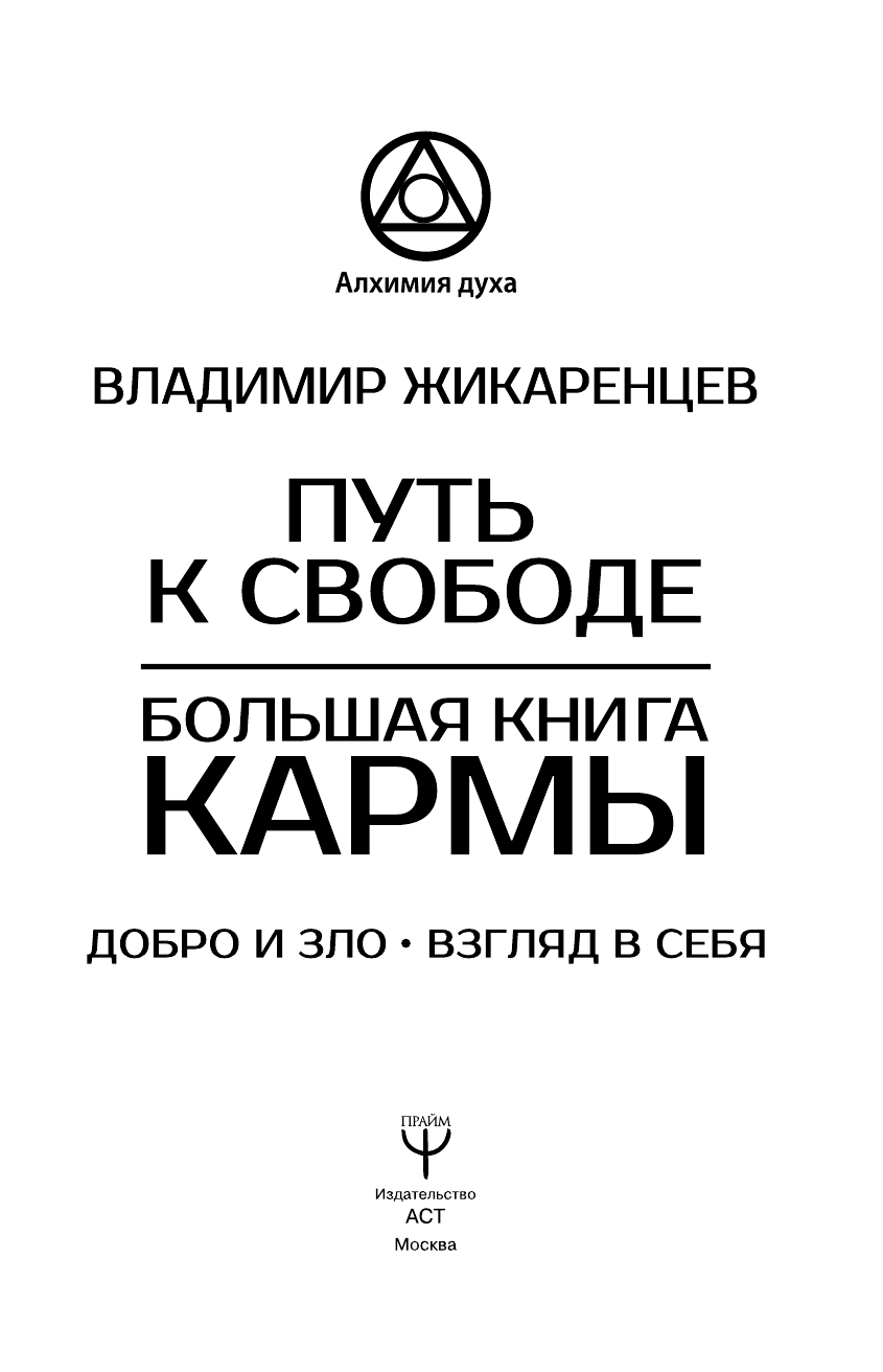 Жикаренцев Владимир Васильевич Большая книга Кармы. Путь к свободе. Добро и Зло. Взгляд в Себя - страница 4