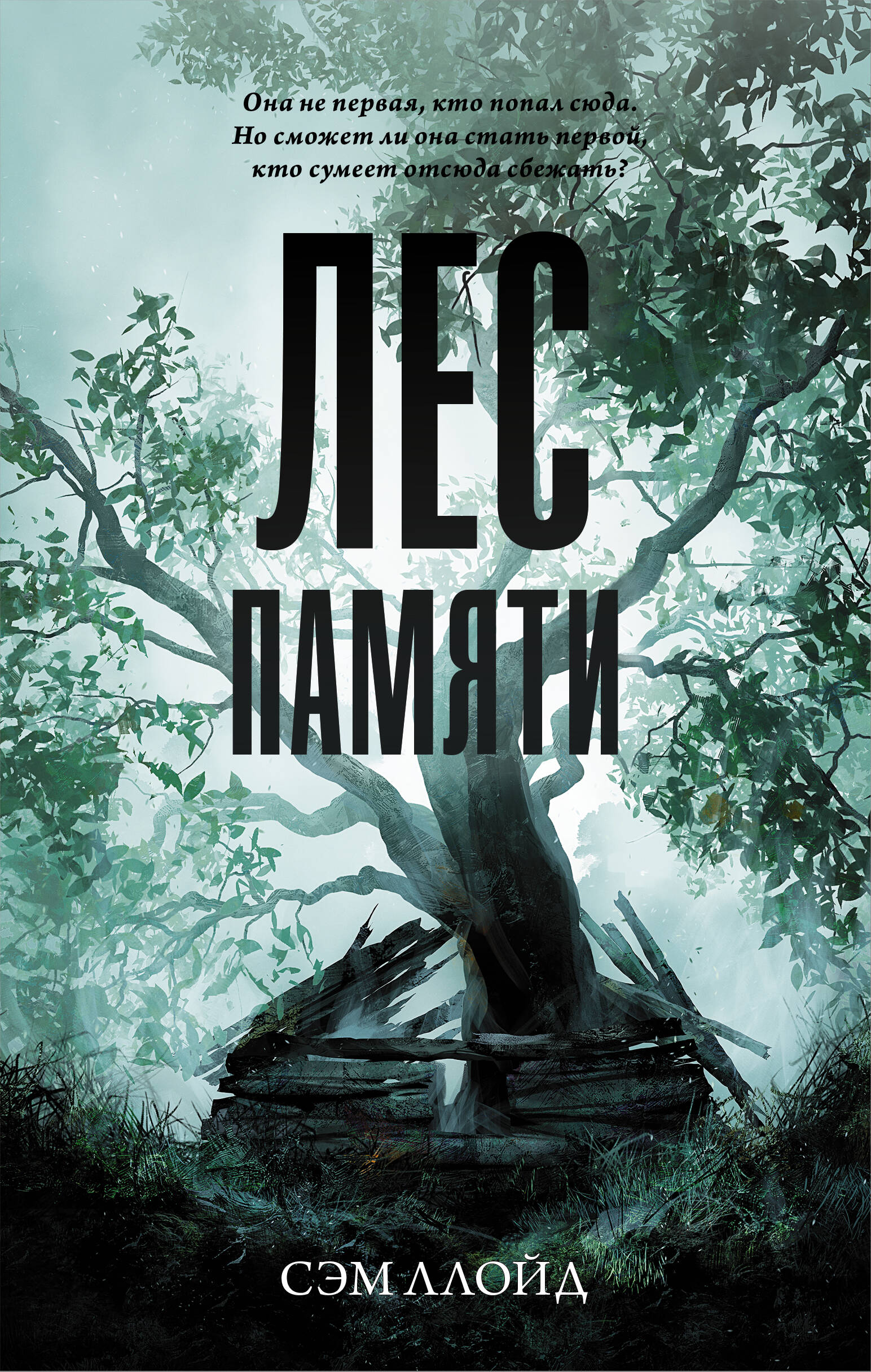 Ллойд Сэм Лес Памяти - страница 0