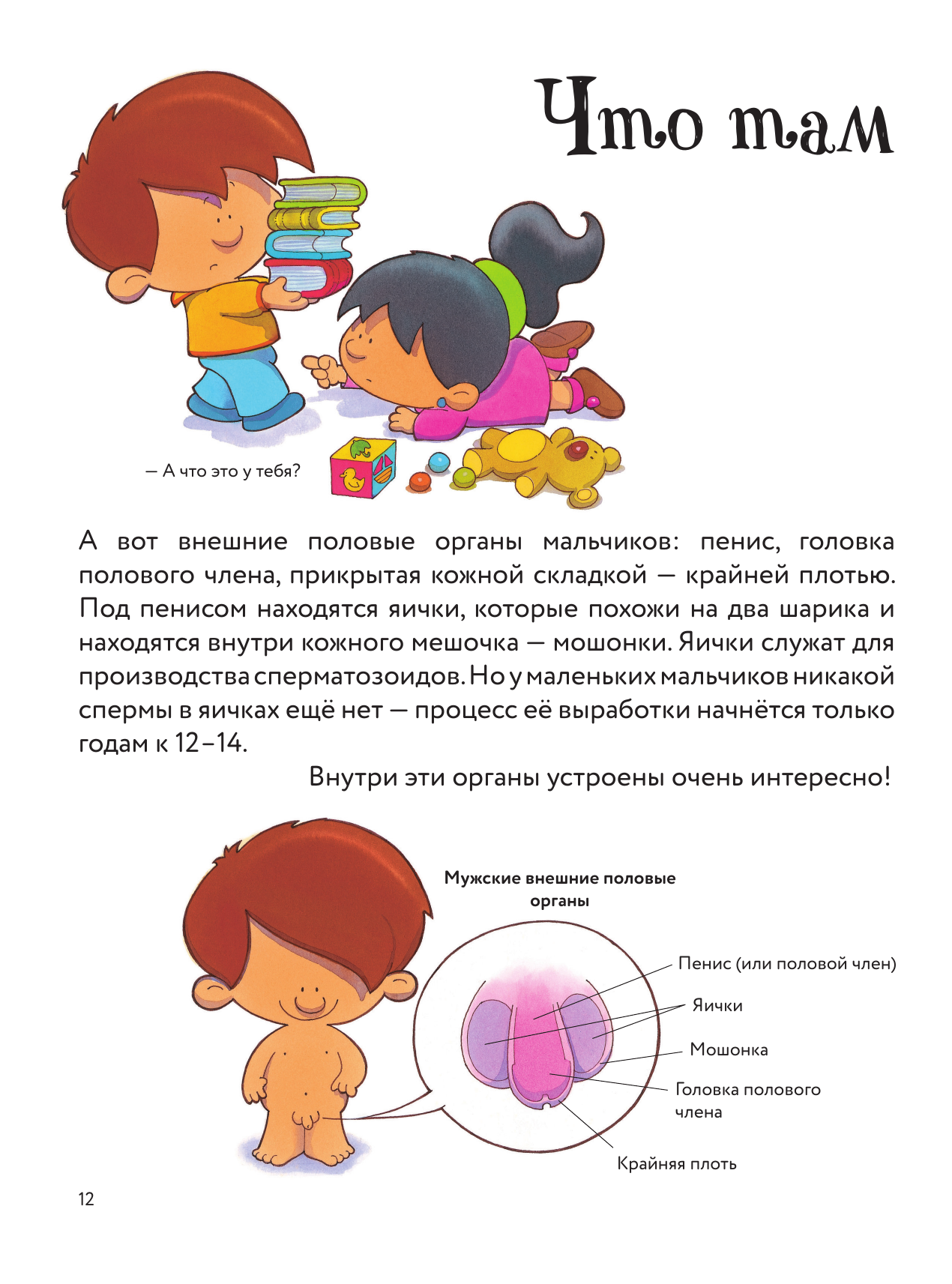  Детям об ЭТОМ. О том, откуда берутся дети, о девочках и мальчиках и о нашем теле. - страница 2