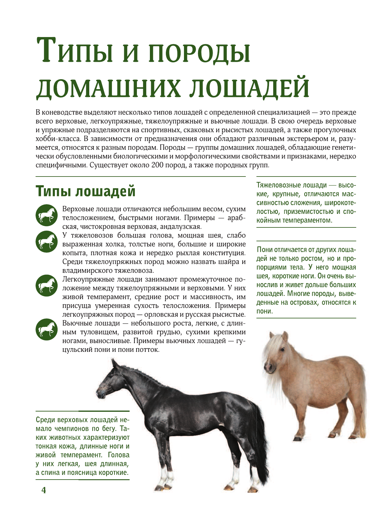  Лошади - страница 3