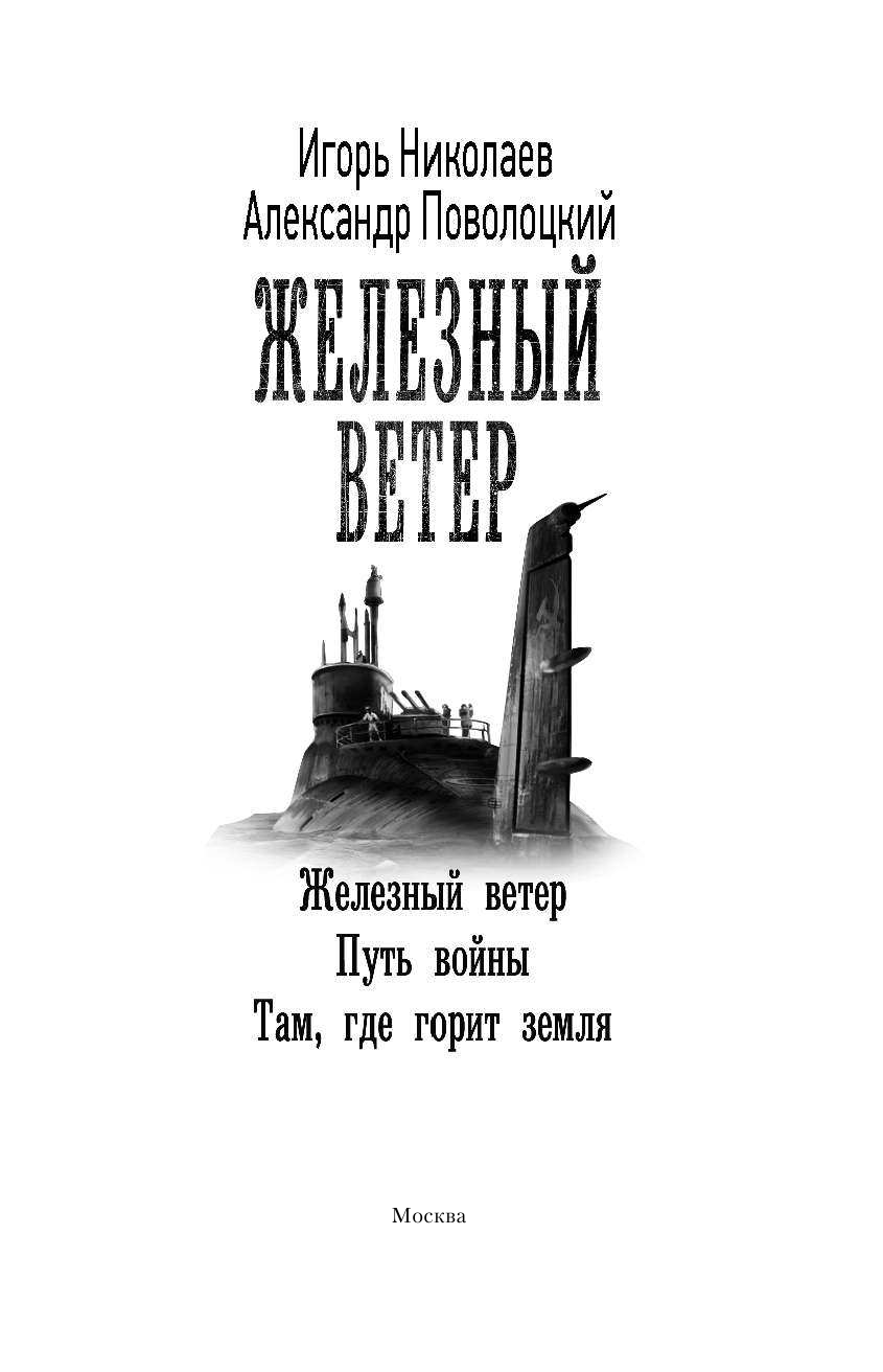 Николаев Игорь Игоревич, Поволоцкий Александр Борисович Железный ветер - страница 4