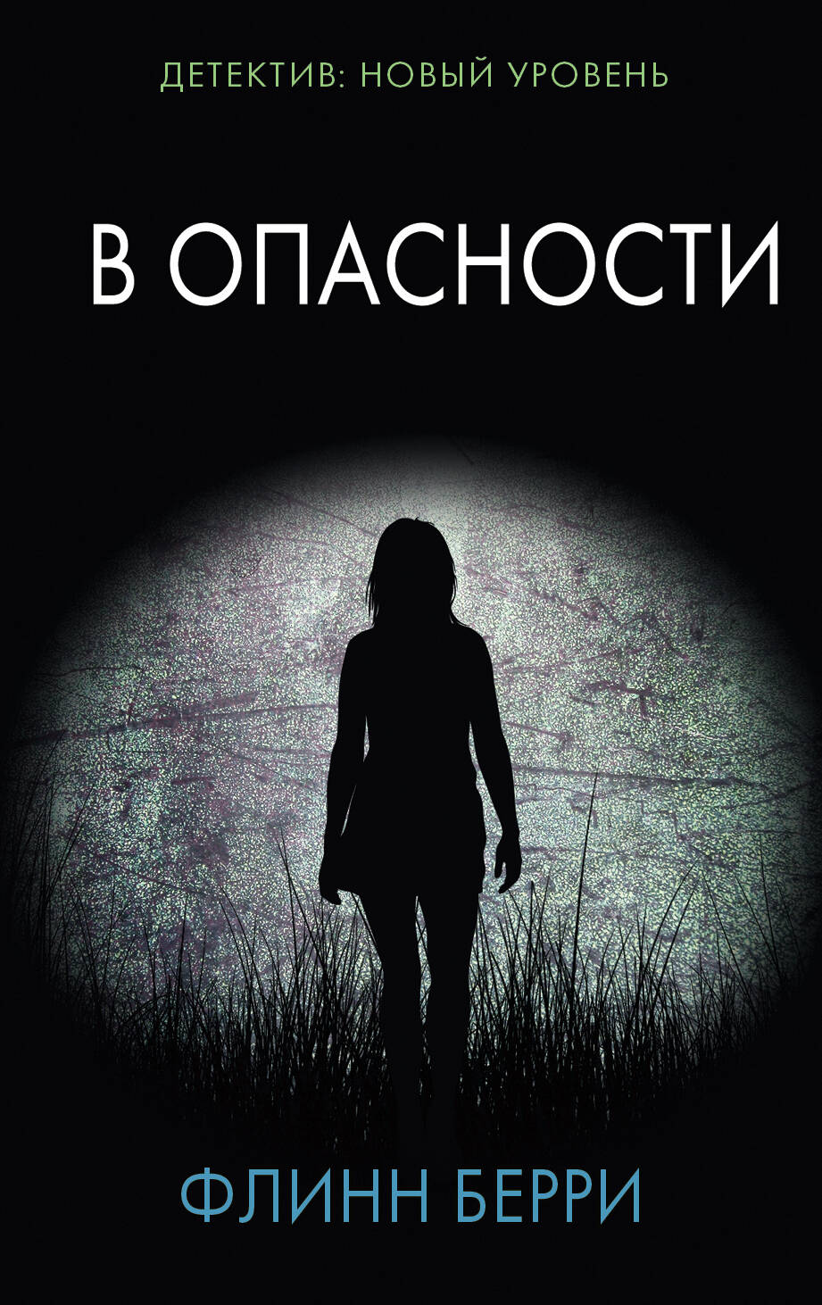 Берри Флинн В опасности - страница 0