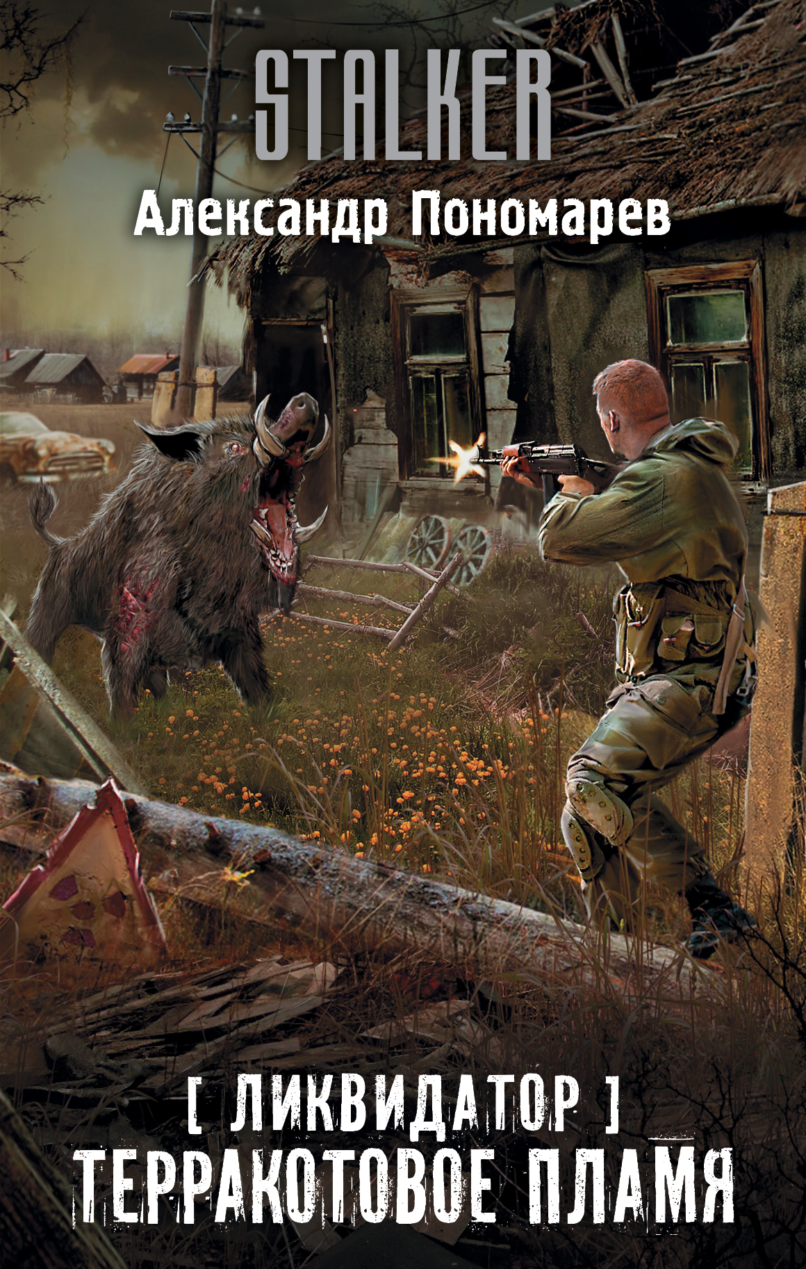 Пономарев Александр Леонидович Ликвидатор. Терракотовое пламя - страница 0