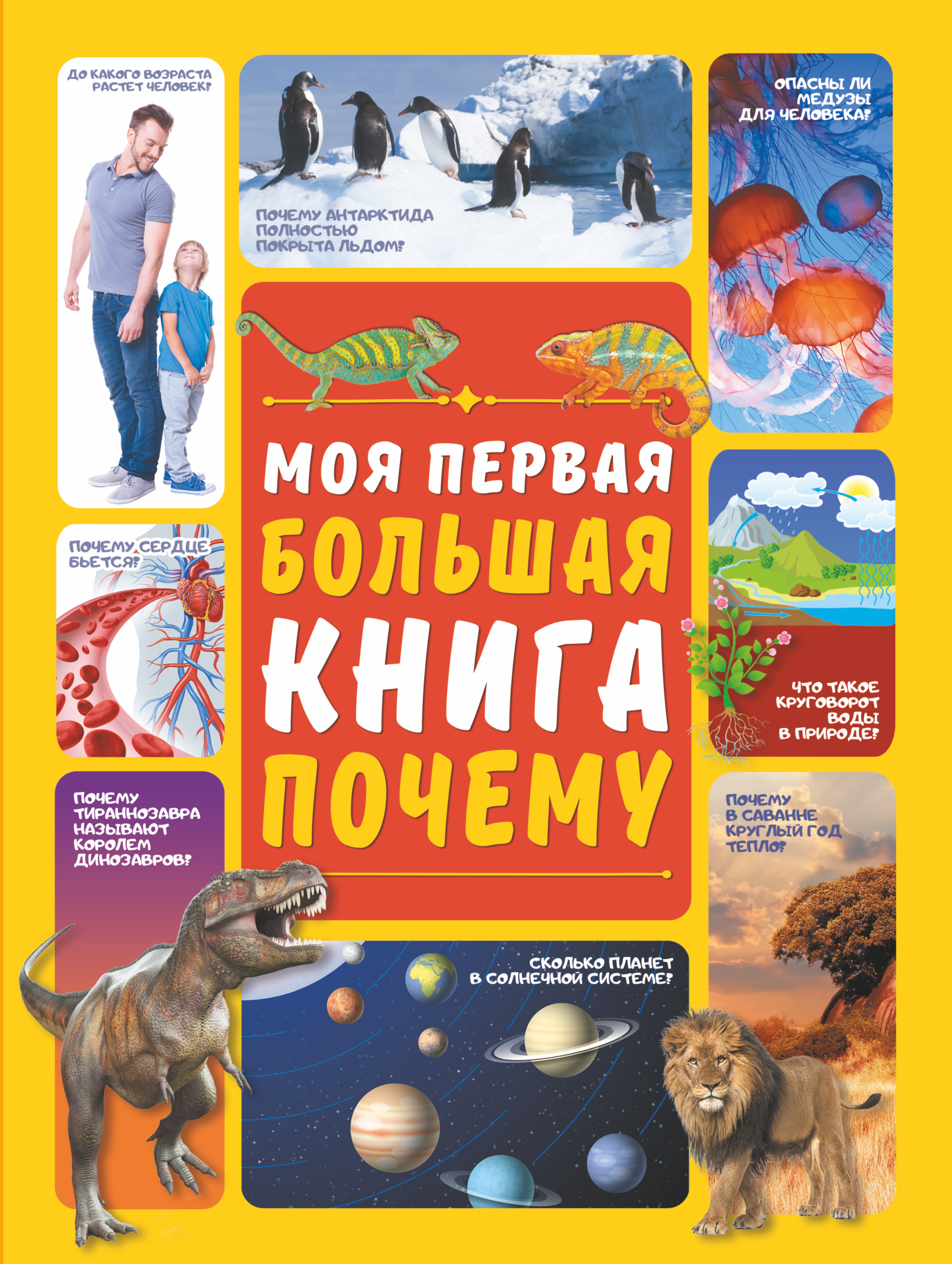 Ермакович Дарья Ивановна Моя первая большая книга ПОЧЕМУ - страница 0
