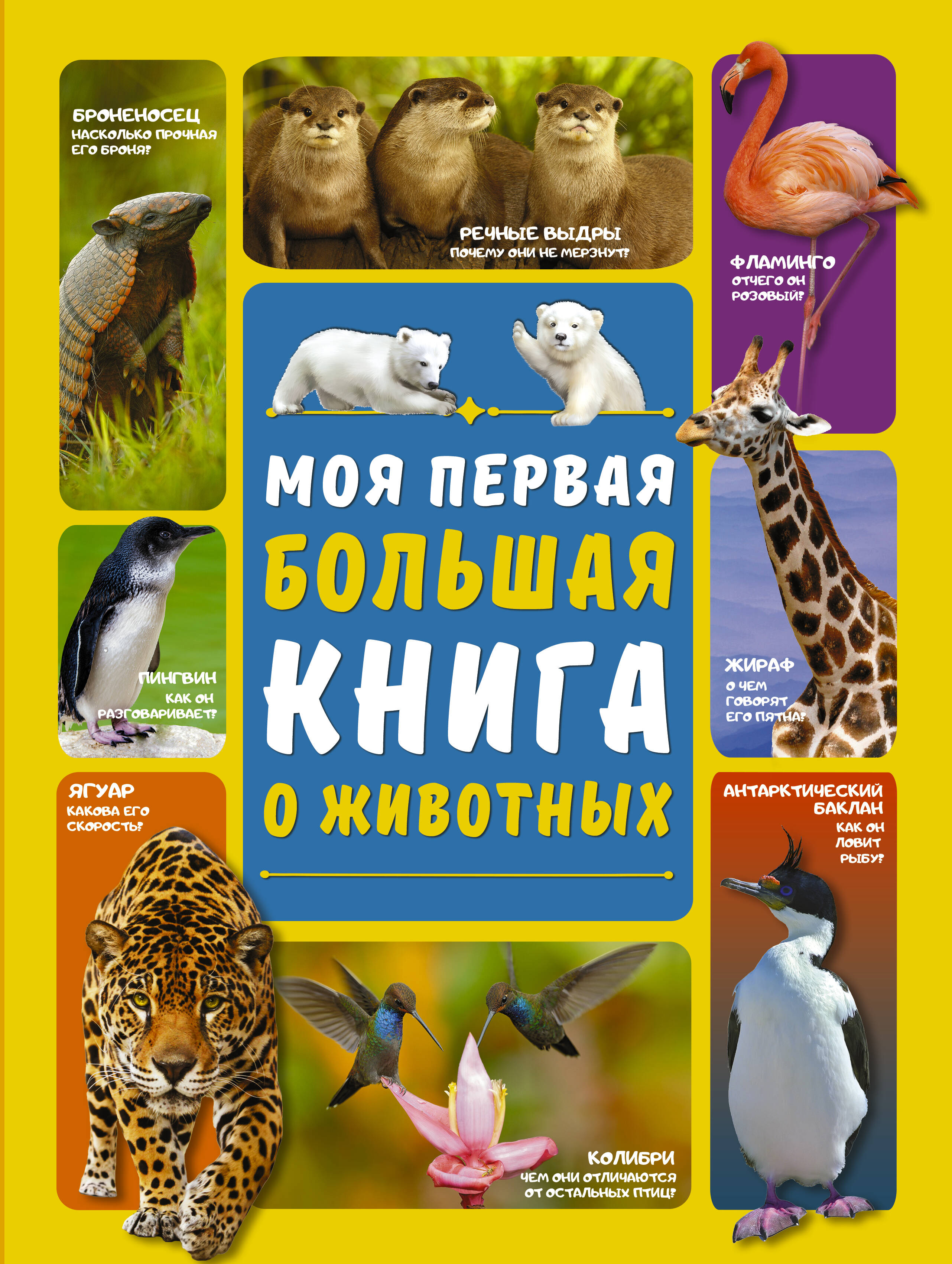 Вайткене Любовь Дмитриевна, Ермакович Дарья Ивановна Моя первая большая книга о животных - страница 0