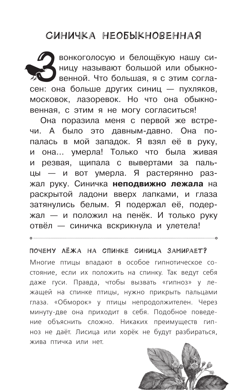 Тихонов Александр Васильевич Бюро лесных услуг - страница 4