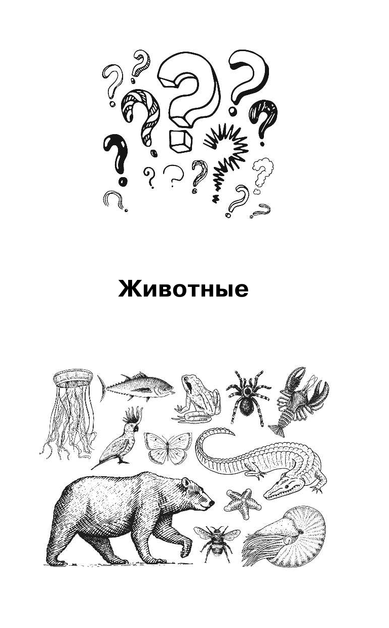 Бурцева Н.А.  1000 вопросов маленьких почемучек - страница 4