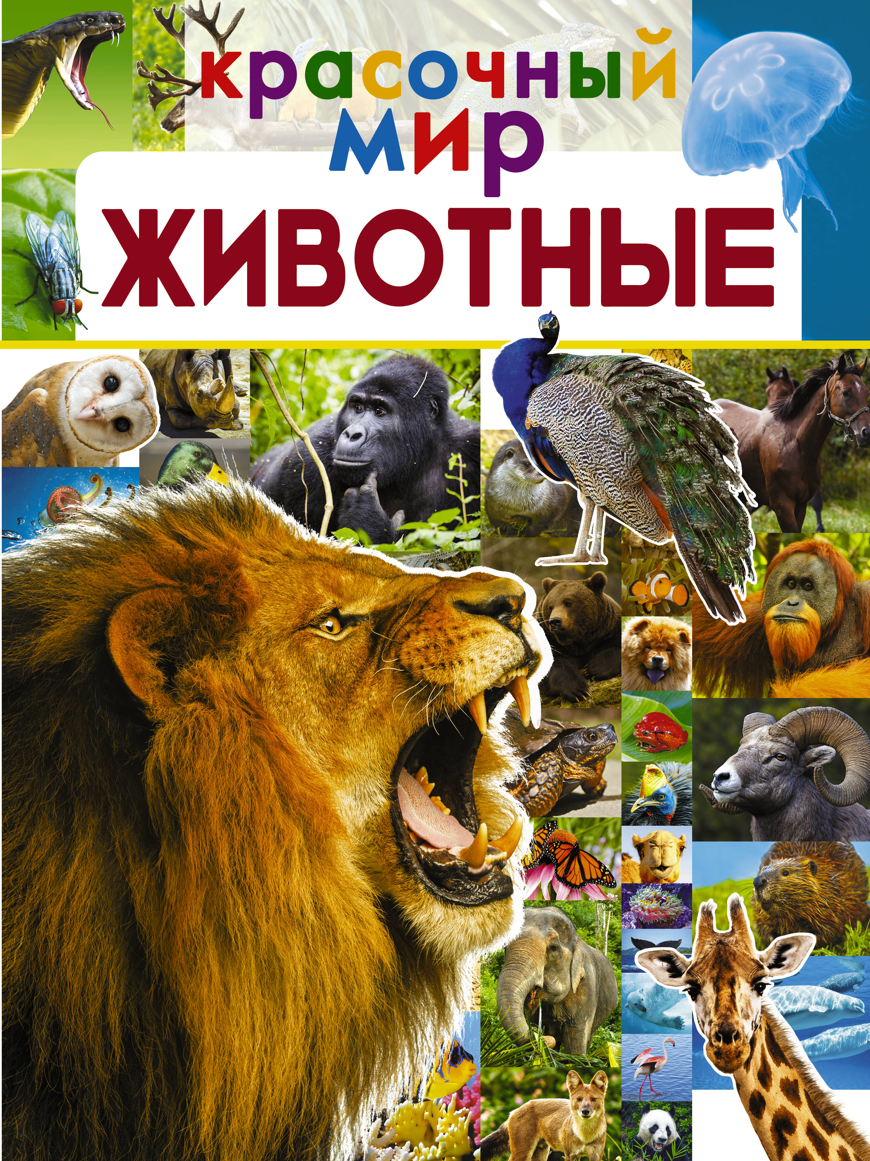 Вайткене Любовь Дмитриевна, Филиппова Мира Дмитриевна Животные - страница 0