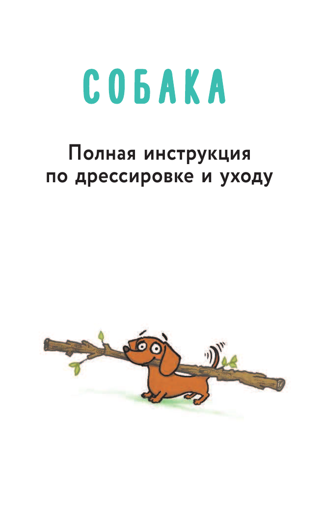 Дэннибой, Фримен Кейт Собака. Полная инструкция по дрессировке и уходу - страница 2