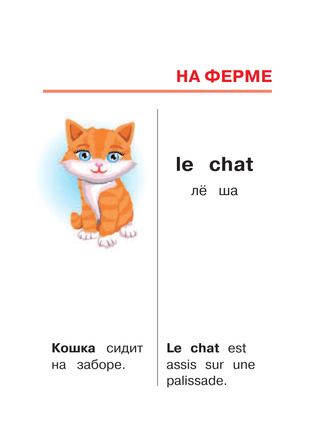  Учу мои первые французские слова - страница 4