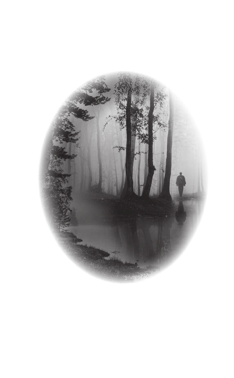 Киселева Полина Александровна НЭНСИ ДРЮ и зловещие совпадения - страница 3