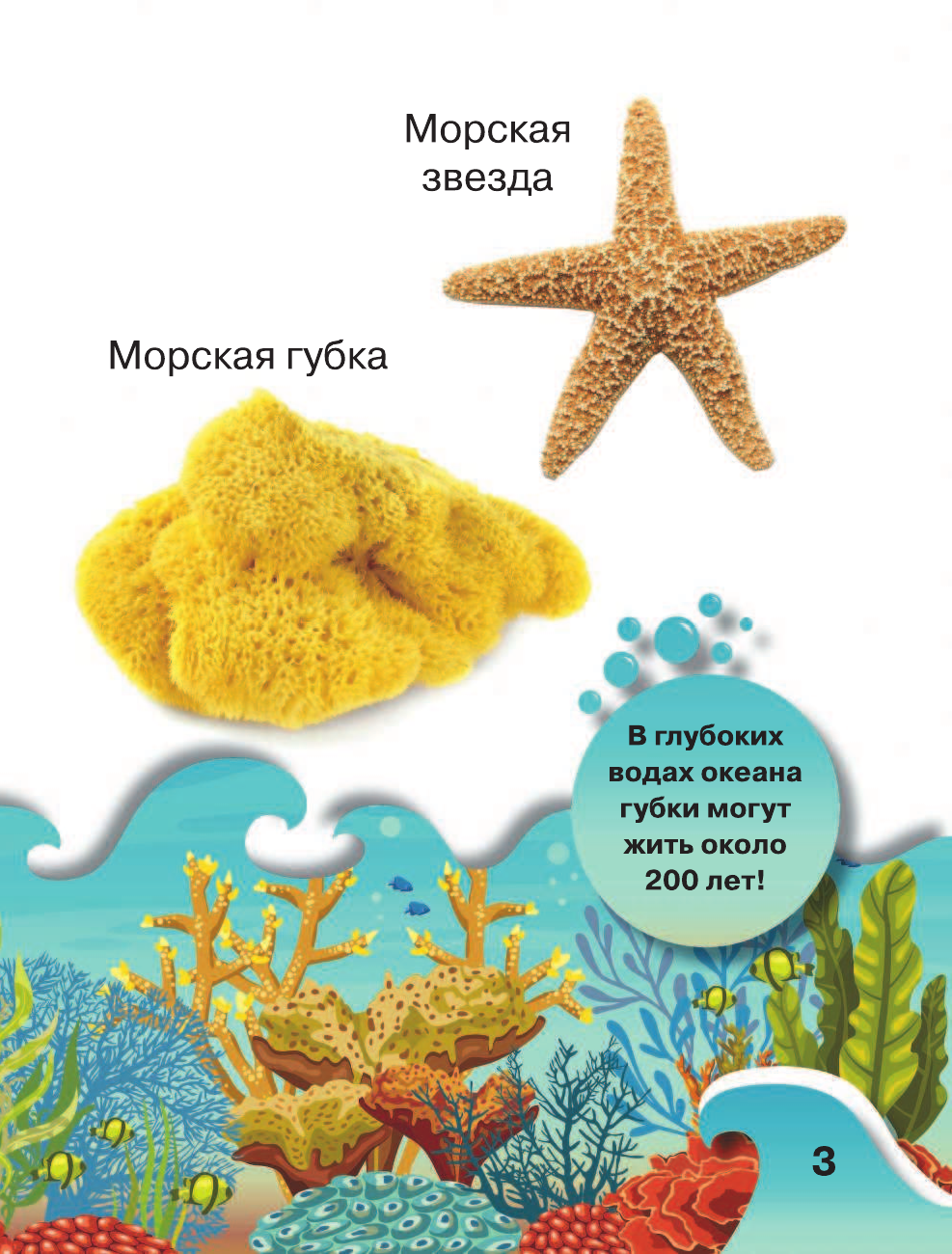  Обитатели подводного мира. 200 картинок - страница 4