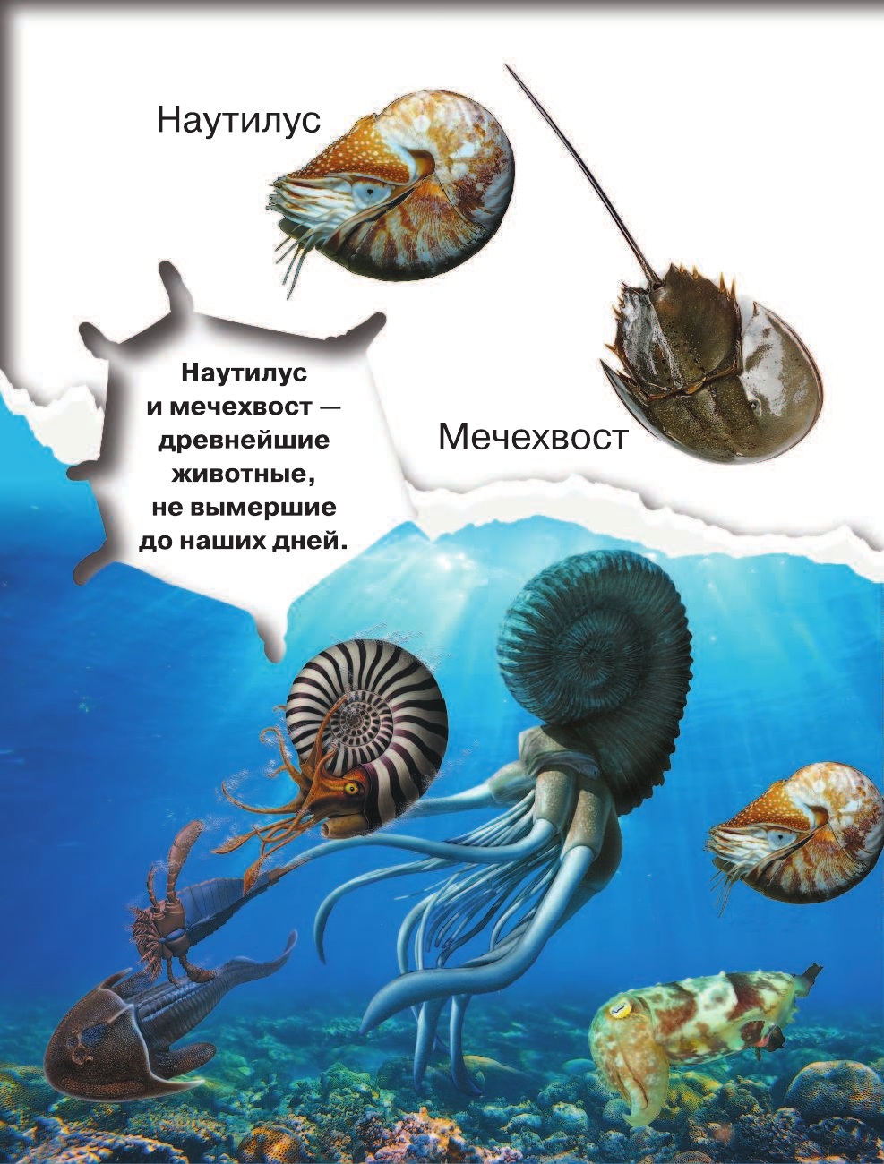  Динозавры и древние животные. 200 картинок - страница 3