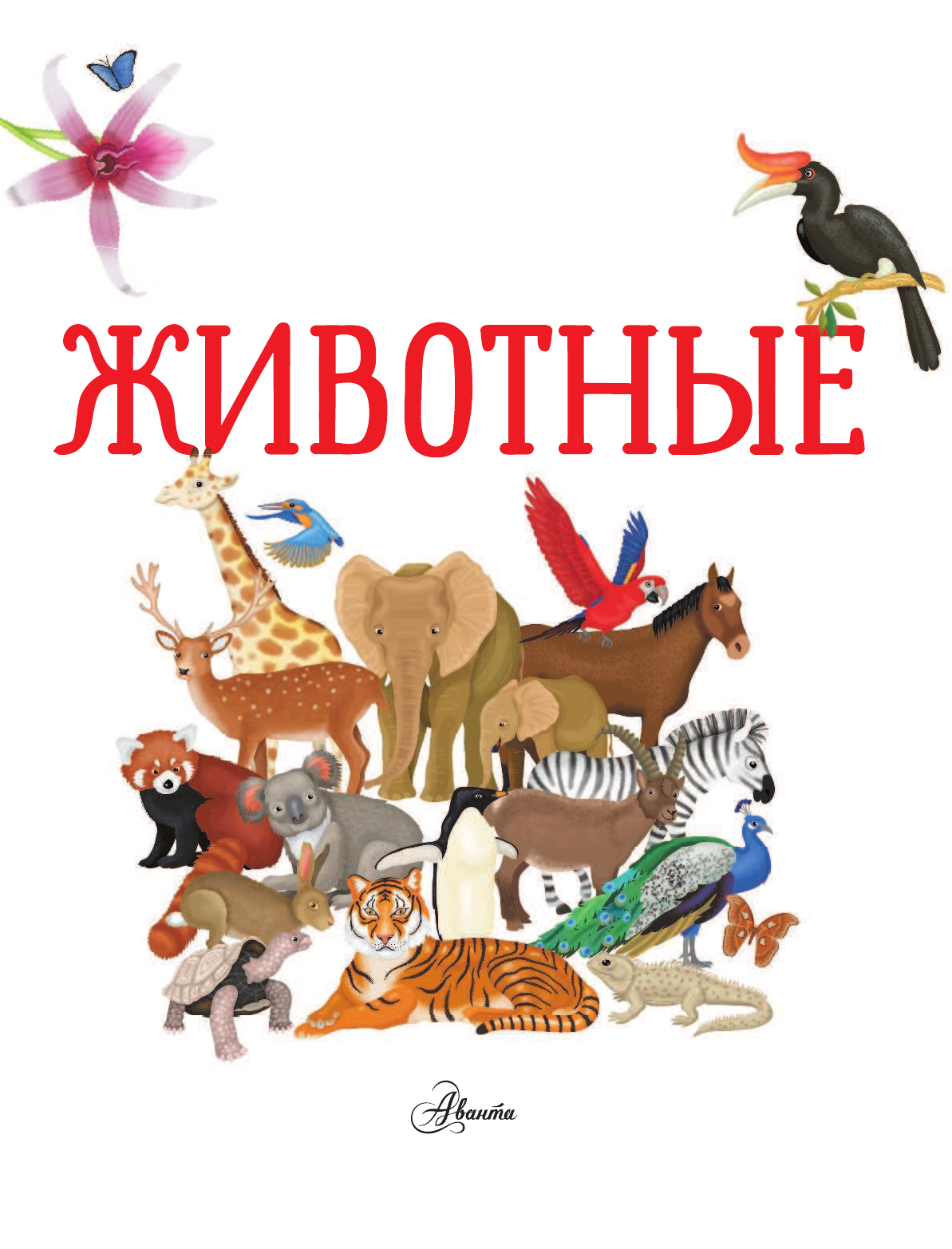 Барсотти Илария Животные - страница 4