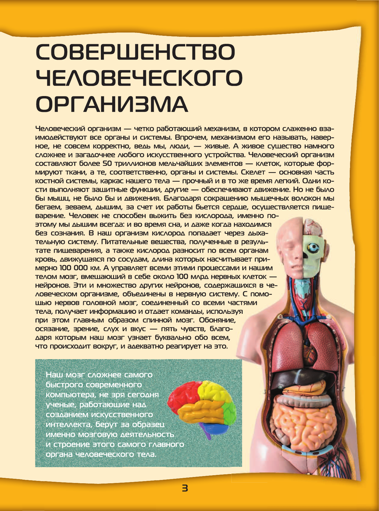 <не указано> Большой 4D-атлас анатомии человека - страница 2