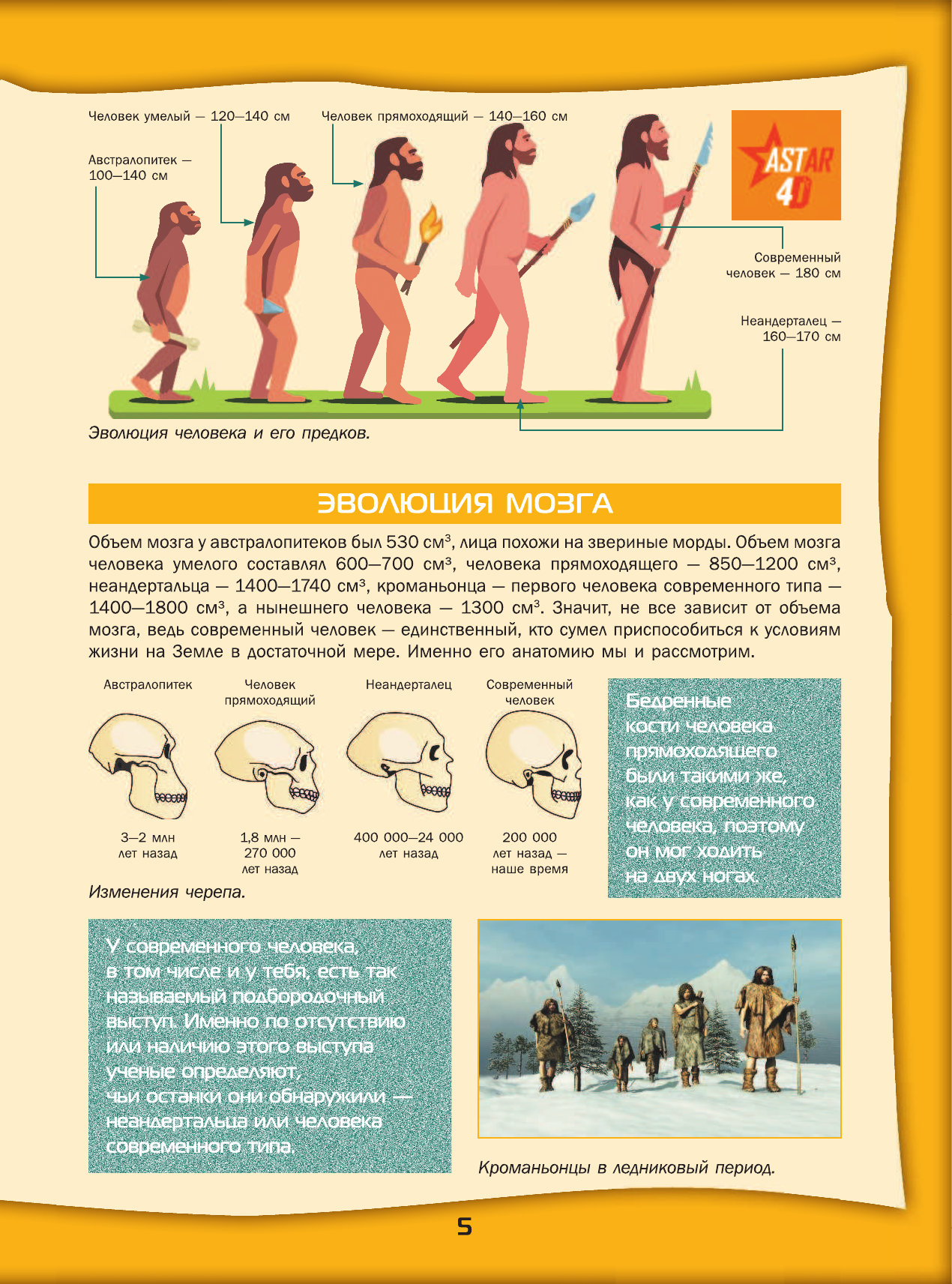 <не указано> Большой 4D-атлас анатомии человека - страница 4