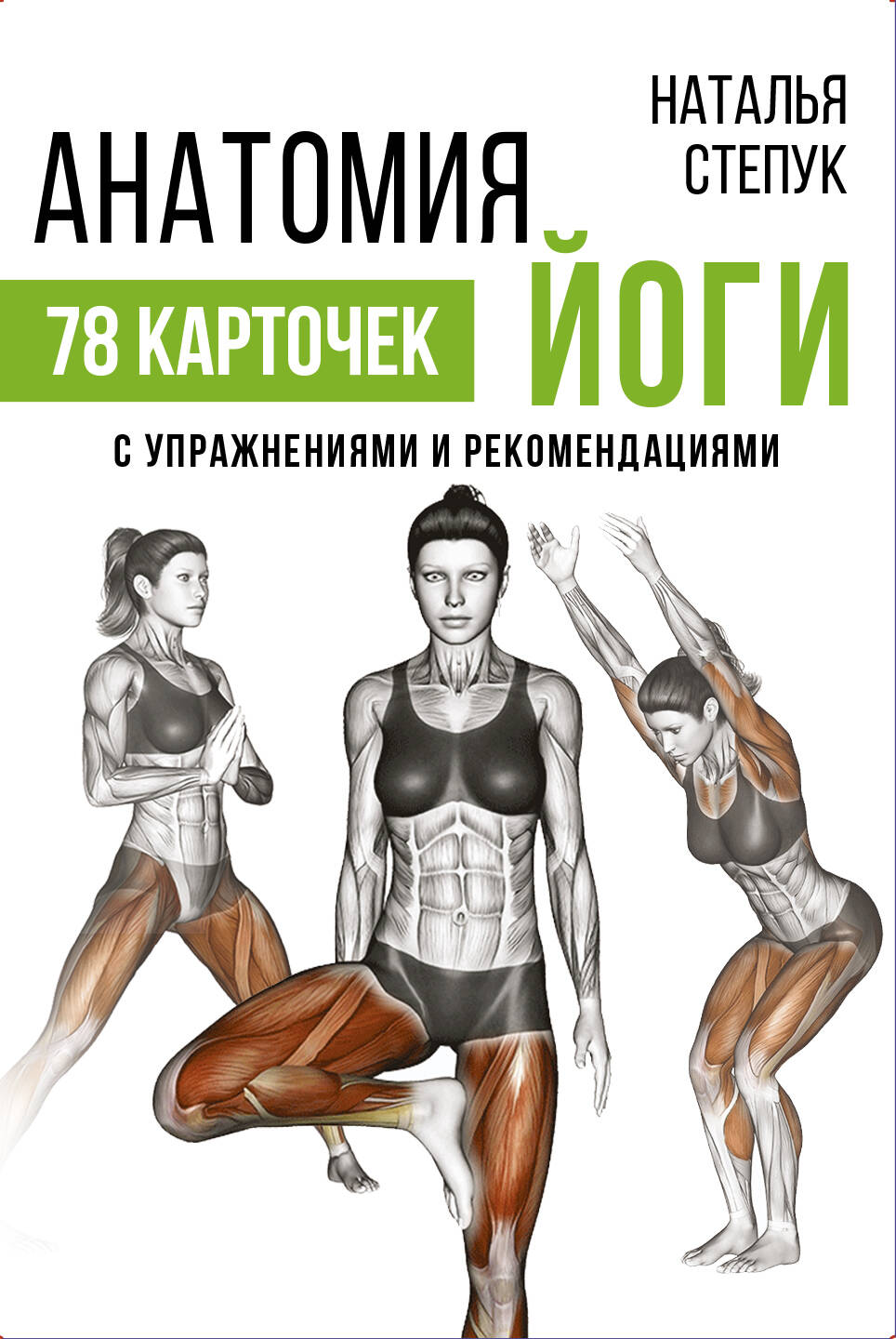 Степук Наталья Генриховна Анатомия йоги - страница 0