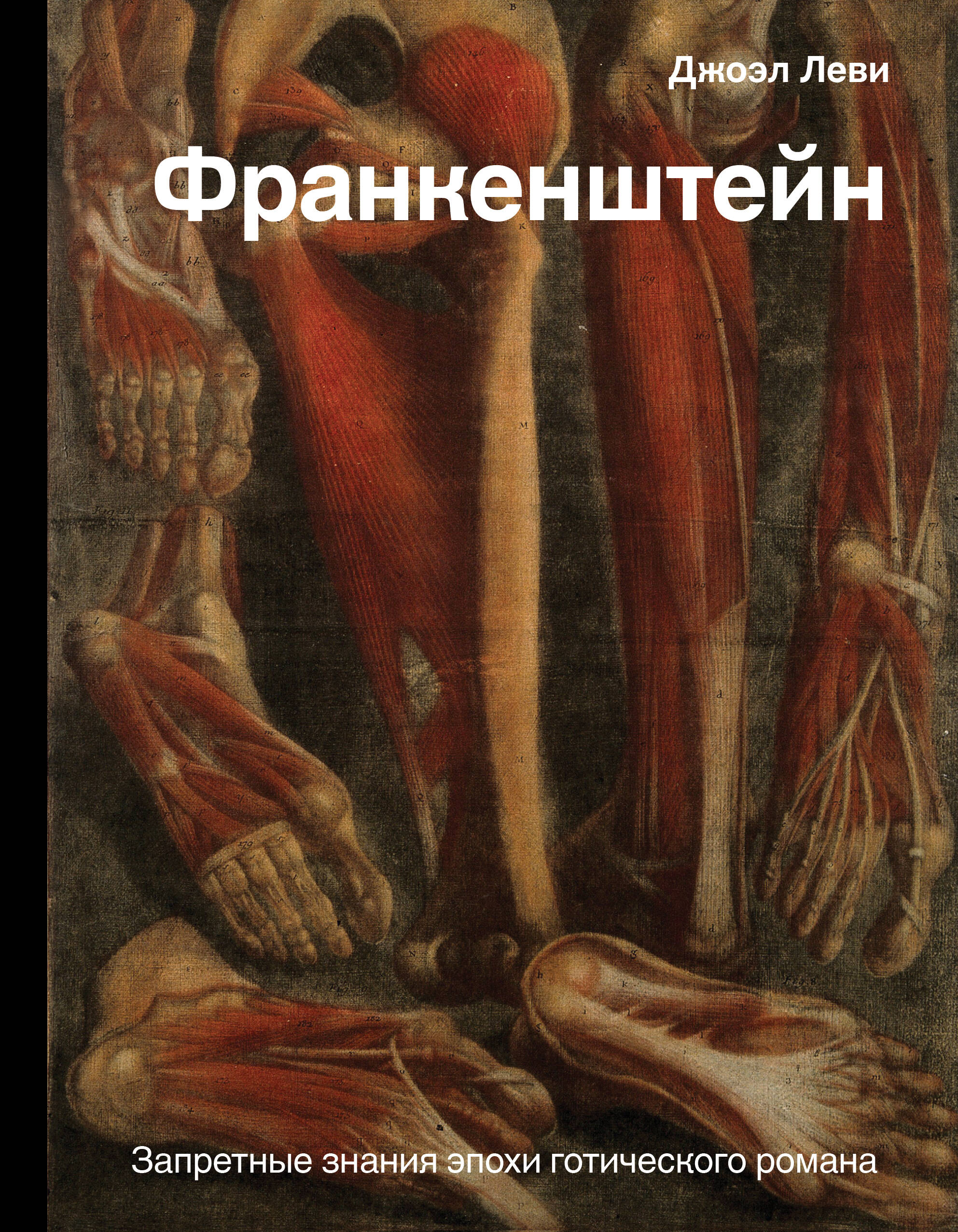 Леви Джоэл Франкенштейн. Запретные знания эпохи готического романа - страница 0