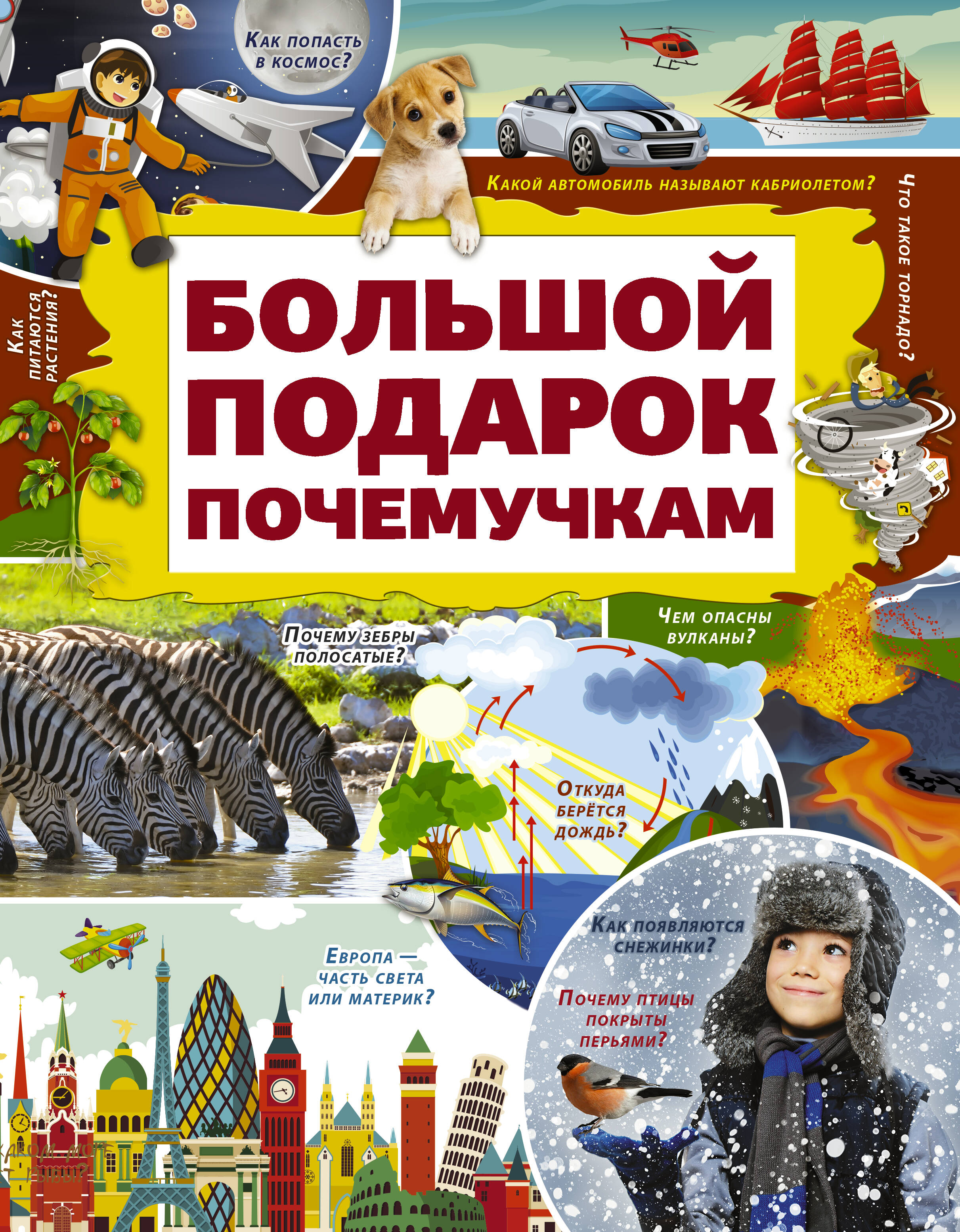 Ермакович Дарья Ивановна Большой подарок почемучкам - страница 0