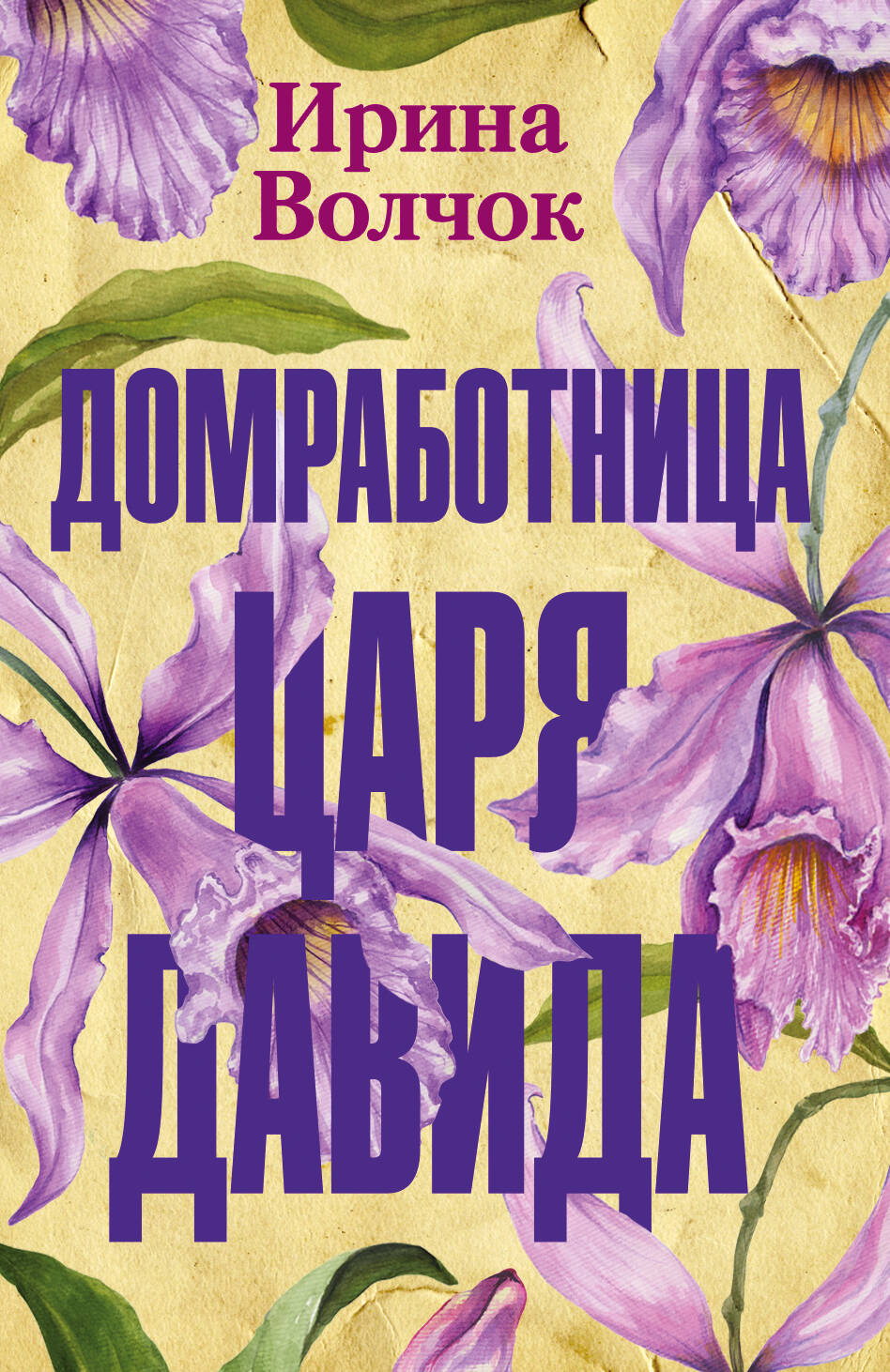 Волчок Ирина  Домработница царя Давида - страница 0