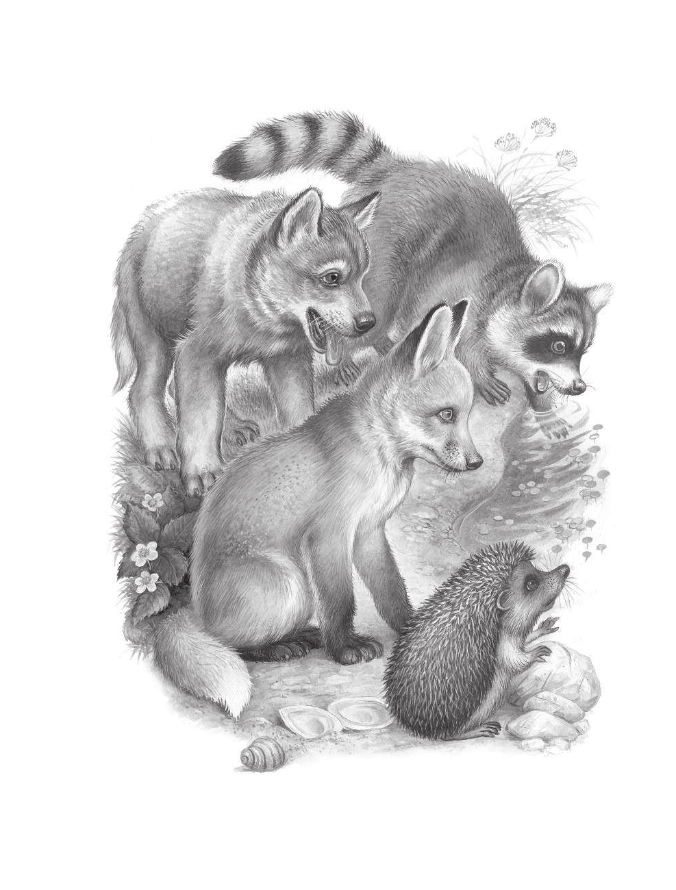 Бианки Виталий Валентинович Рассказы о природе - страница 3