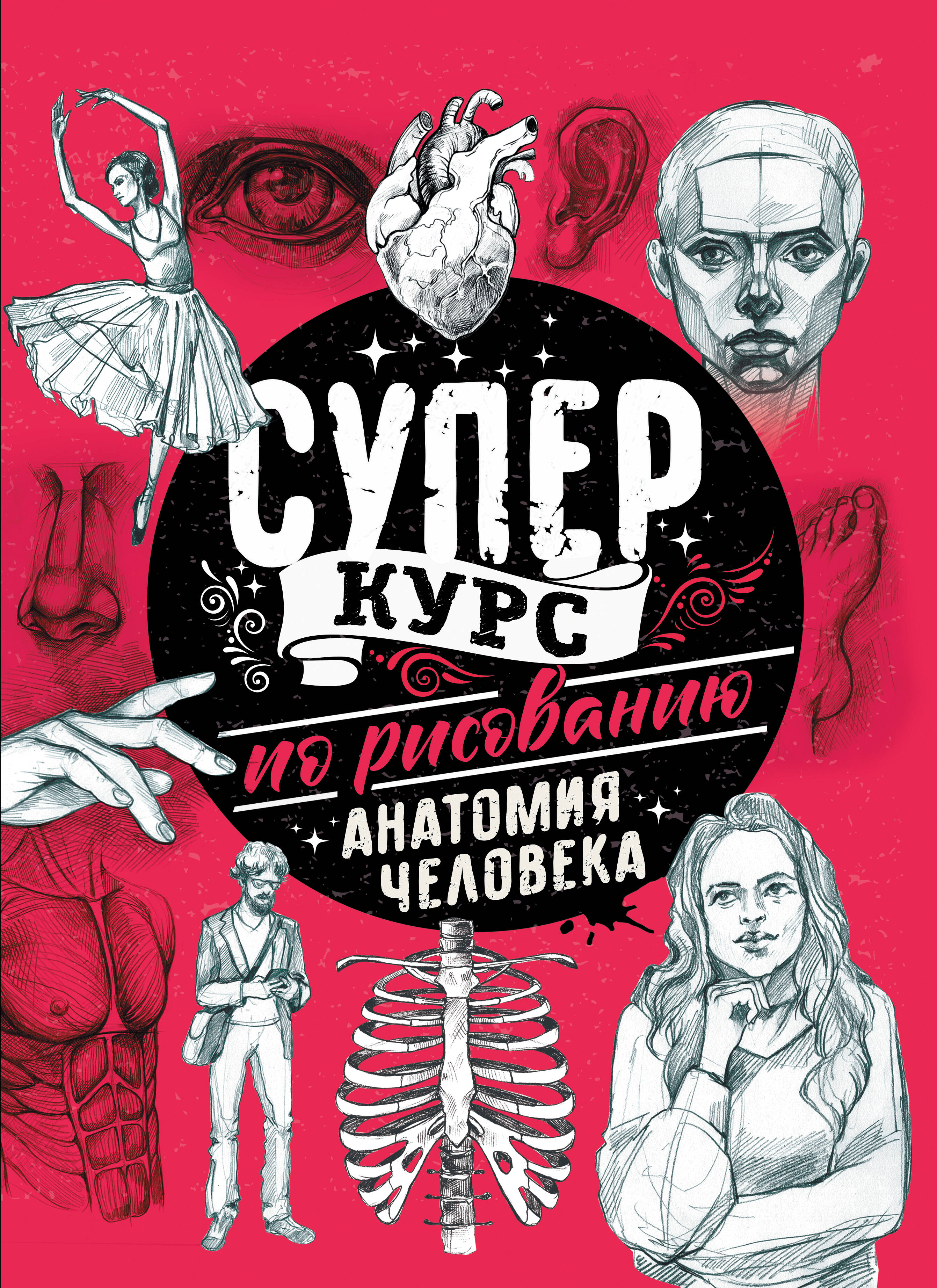 Грей Мистер Суперкурс по рисованию. Анатомия человека - страница 0