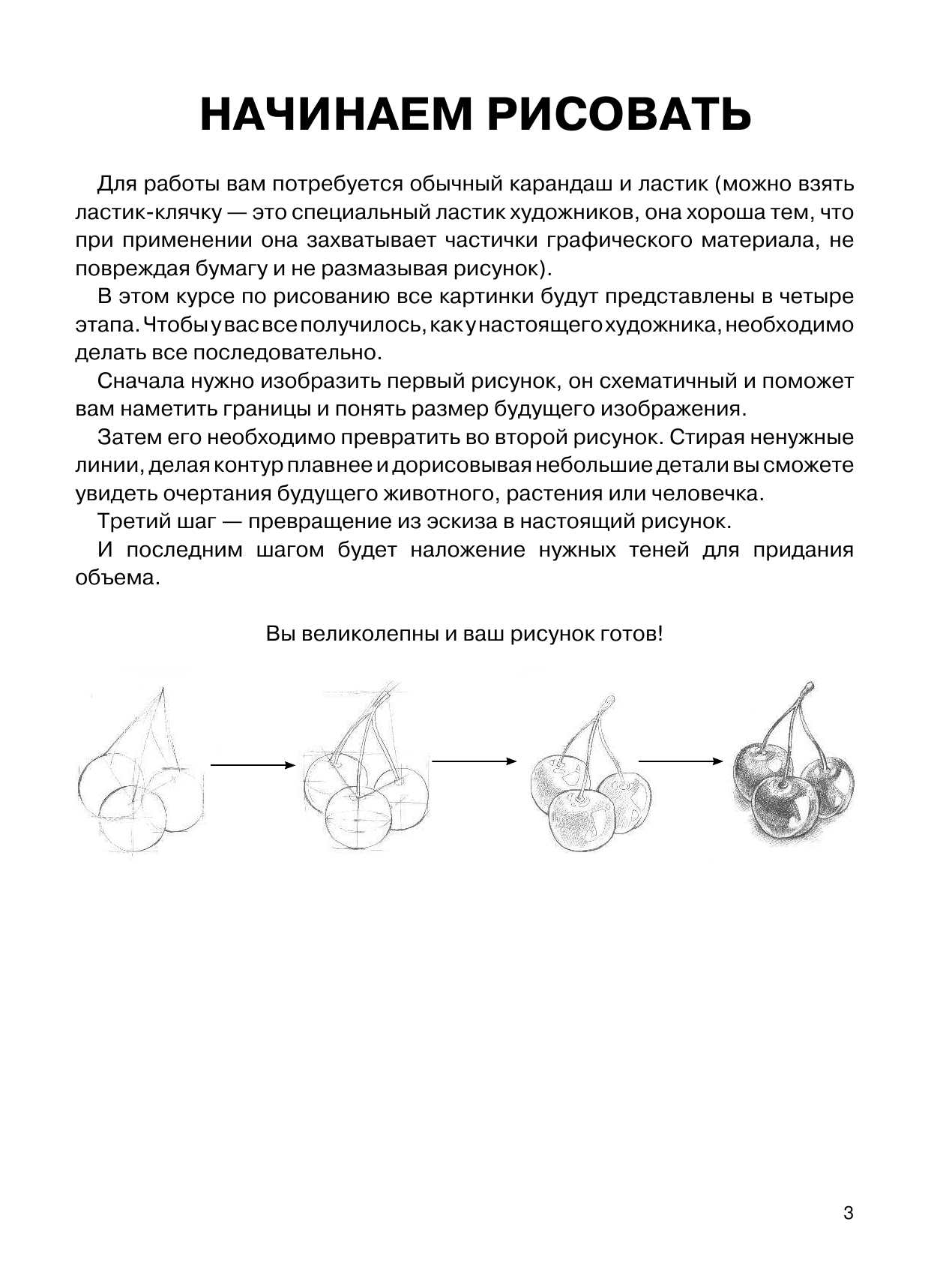 Грей Мистер Суперкурс по рисованию. Анатомия человека - страница 4
