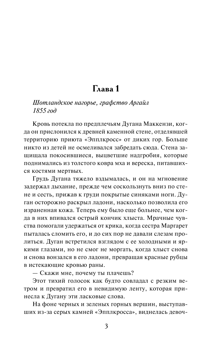 Мордашев Евгений Александрович Разбойник - страница 4