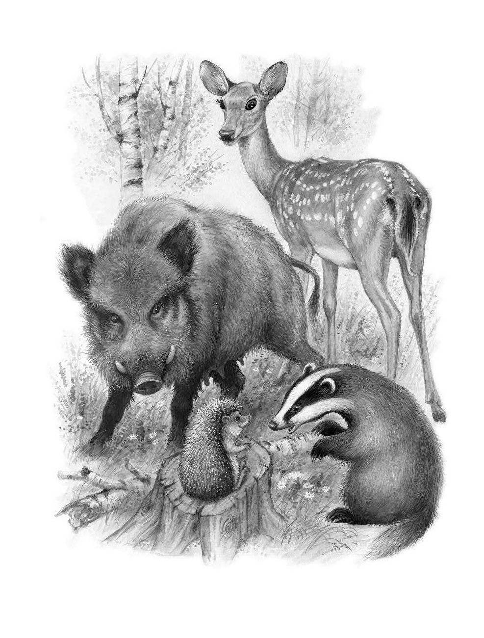 Бианки Виталий Валентинович, Маршак Самуил Яковлевич, Пришвин Михаил Михайлович Все-все-все лучшие сказки, стихи и рассказы о животных - страница 3