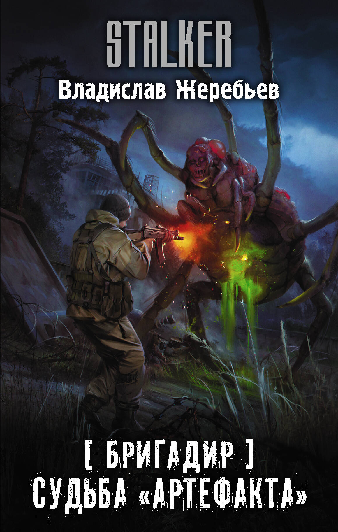 Жеребьев Владислав Юрьевич Бригадир. Судьба Артефакта - страница 0