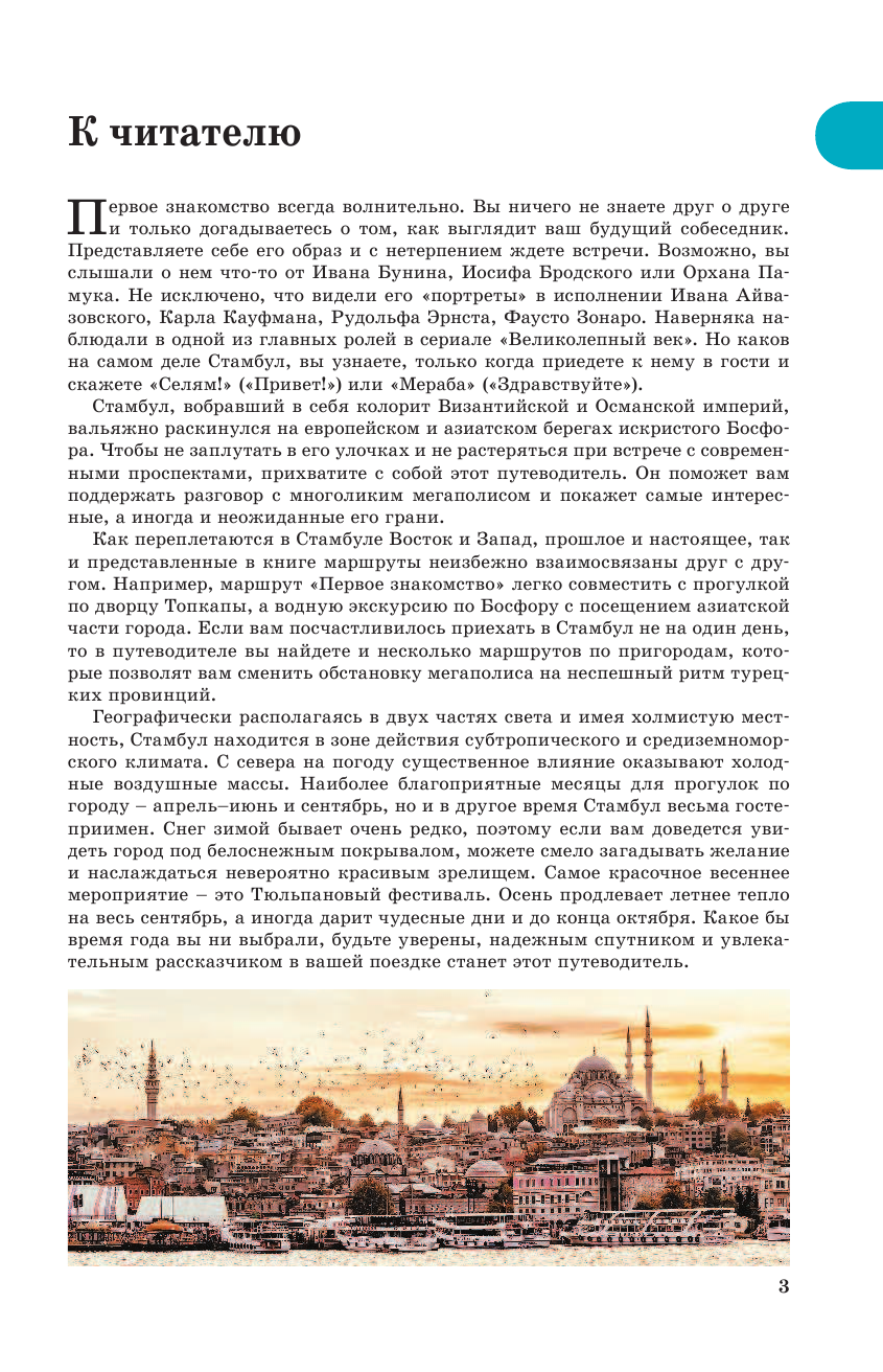  Прогулки по Стамбулу - страница 4