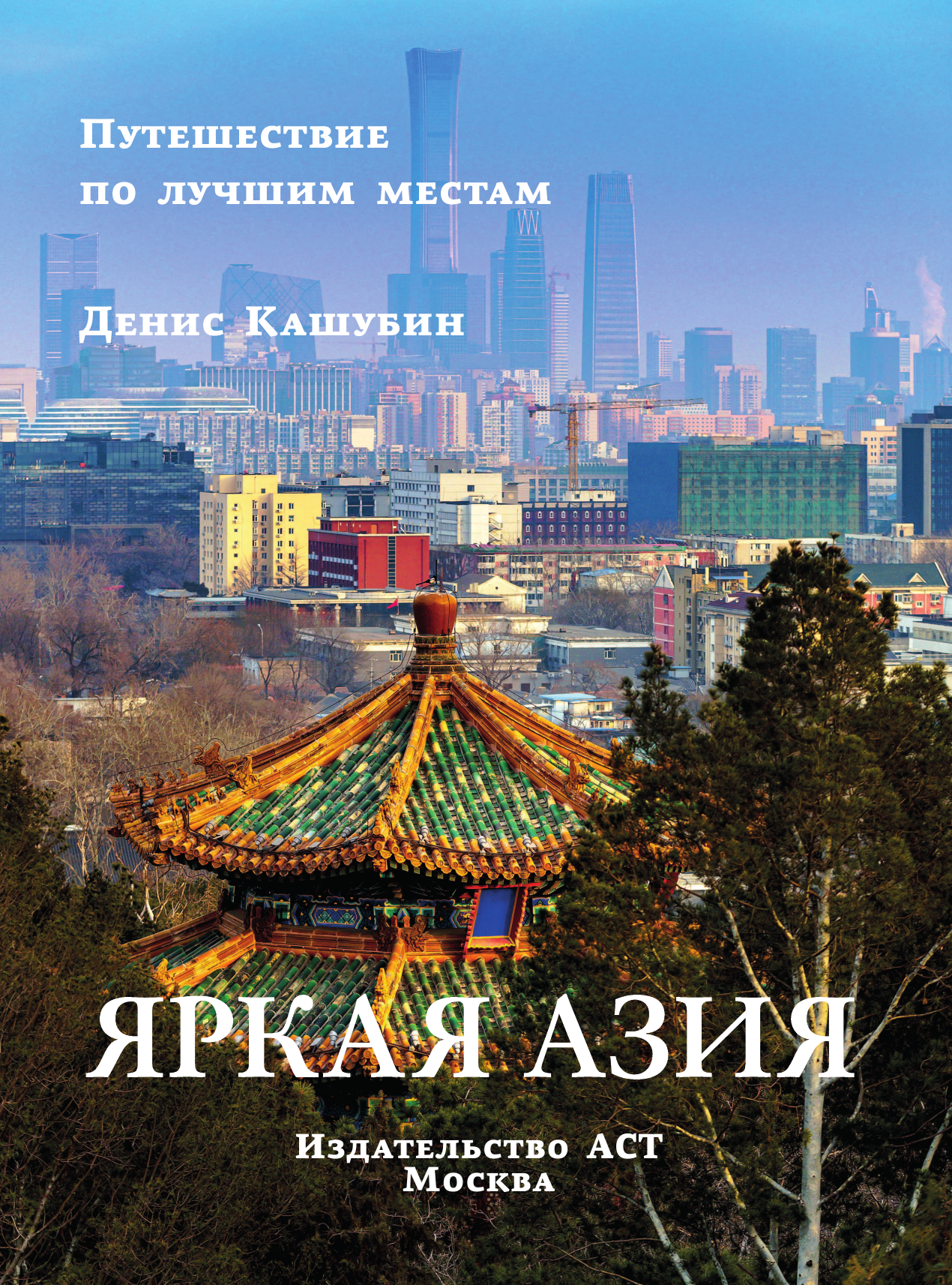 Кашубин Денис Игоревич Яркая Азия. Путешествие по лучшим местам - страница 2