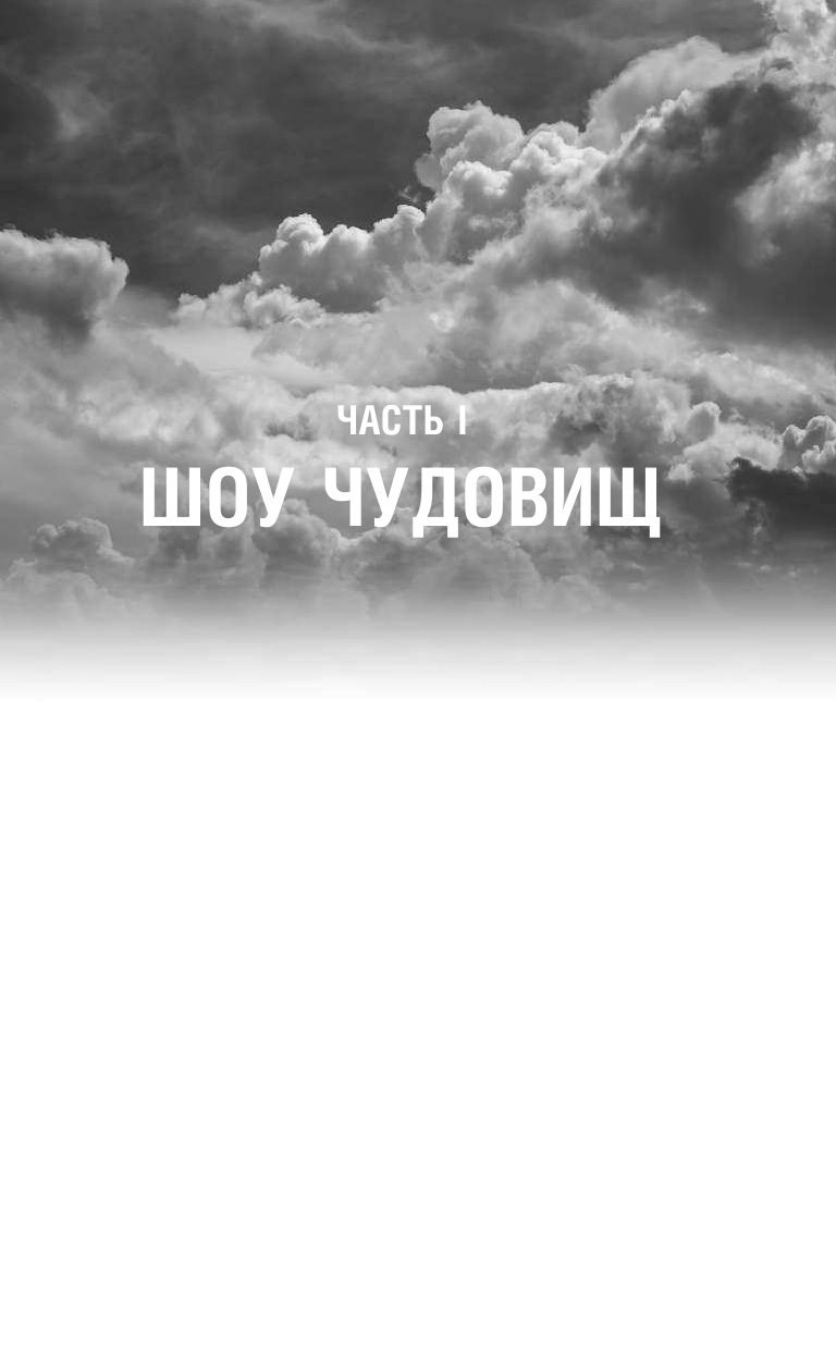 Конди Элли, Райх Брендан Зверь - страница 2