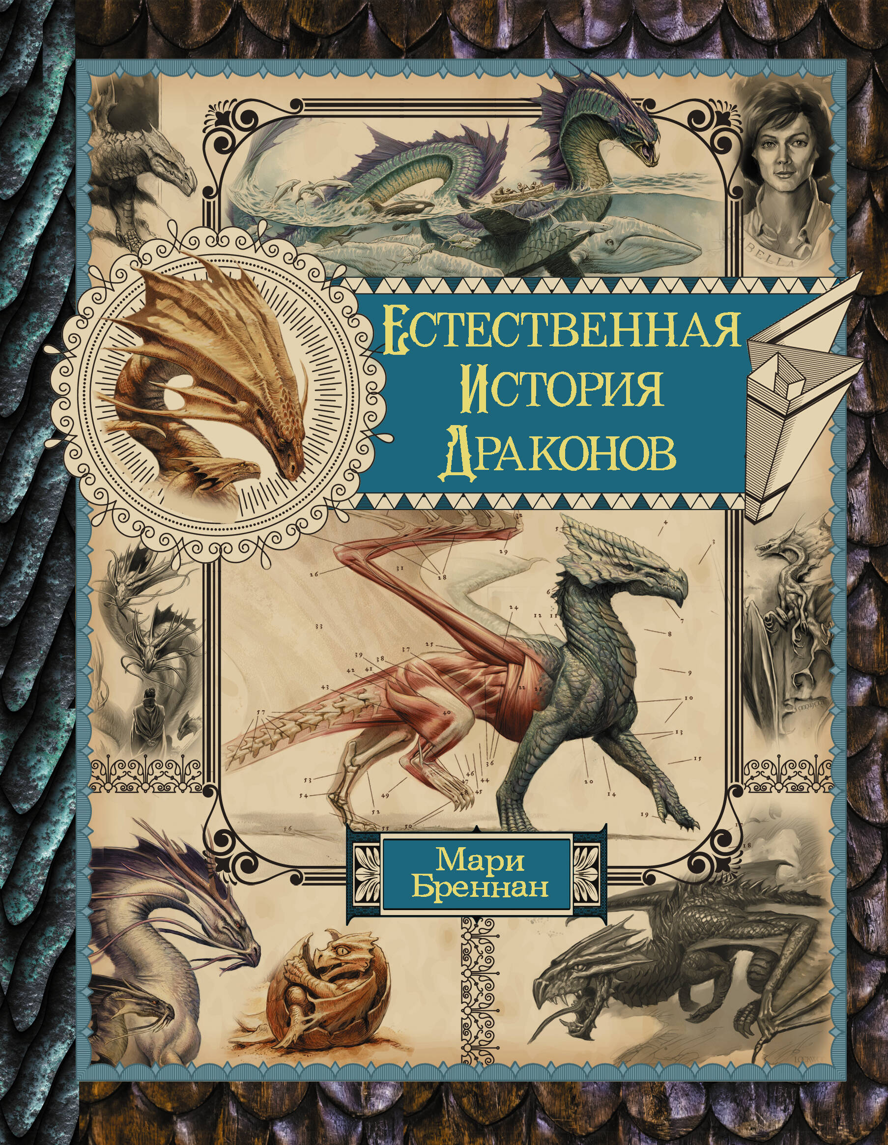 Бреннан Мари Естественная история драконов. Омнибус - страница 0