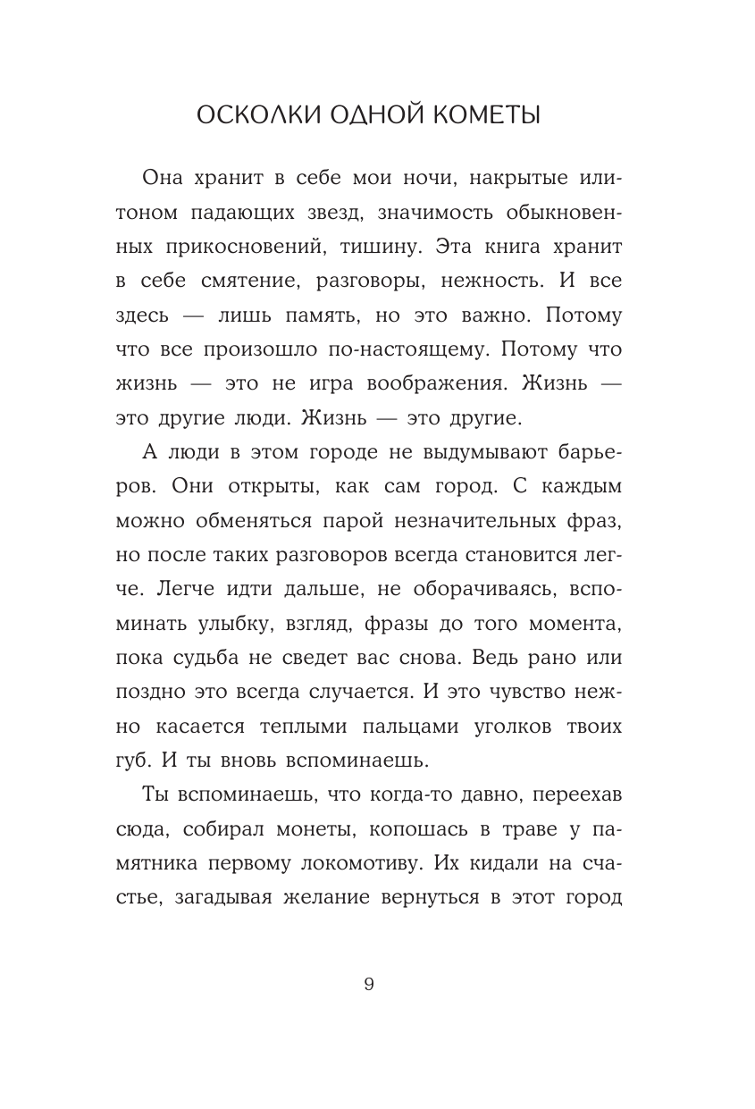 Понкин Владимир Олегович Осколки одной кометы - страница 4